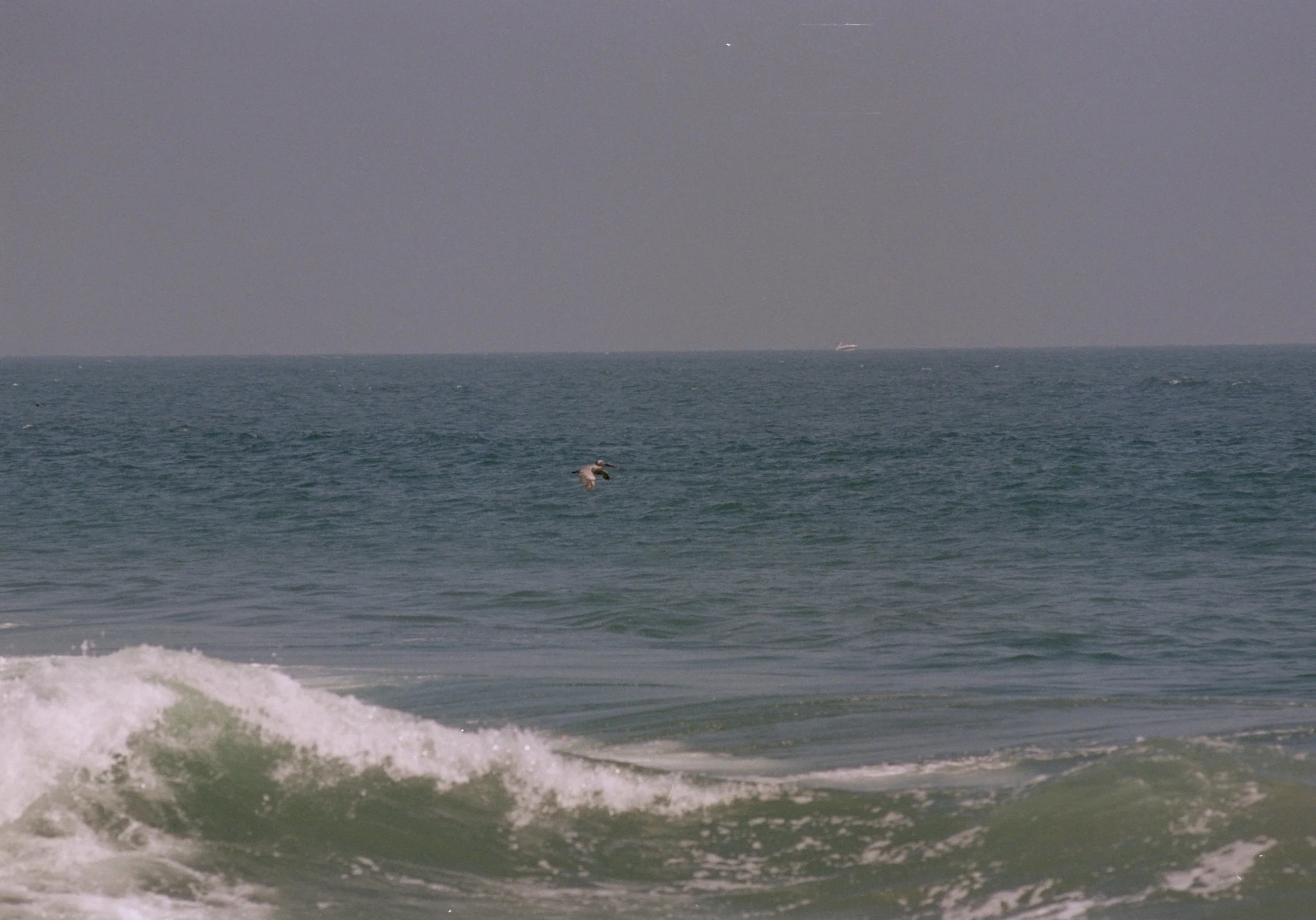 FE064_Kodak-p400_0025.jpeg