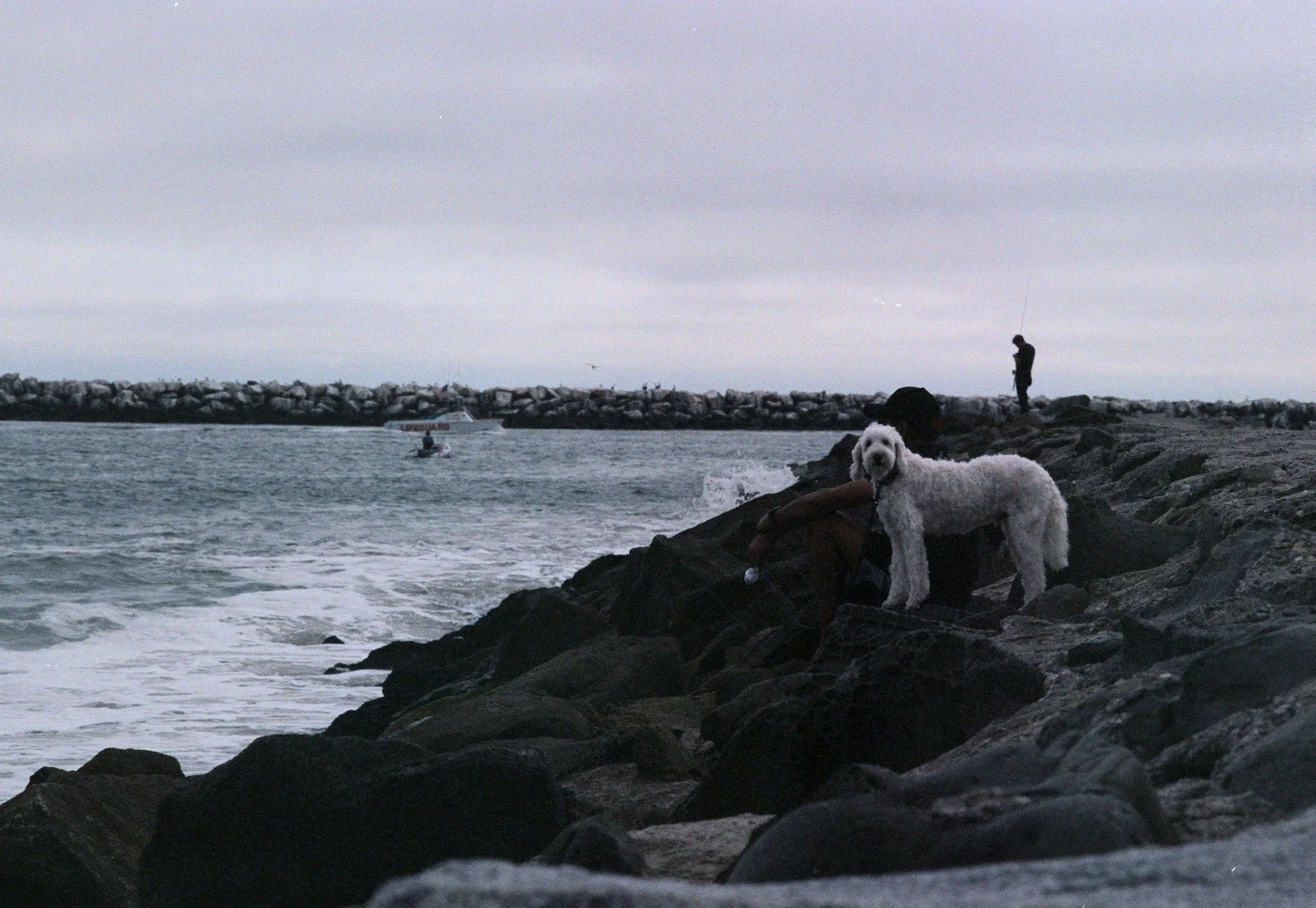 FE068_Kodak-p400_0028_edit.jpeg