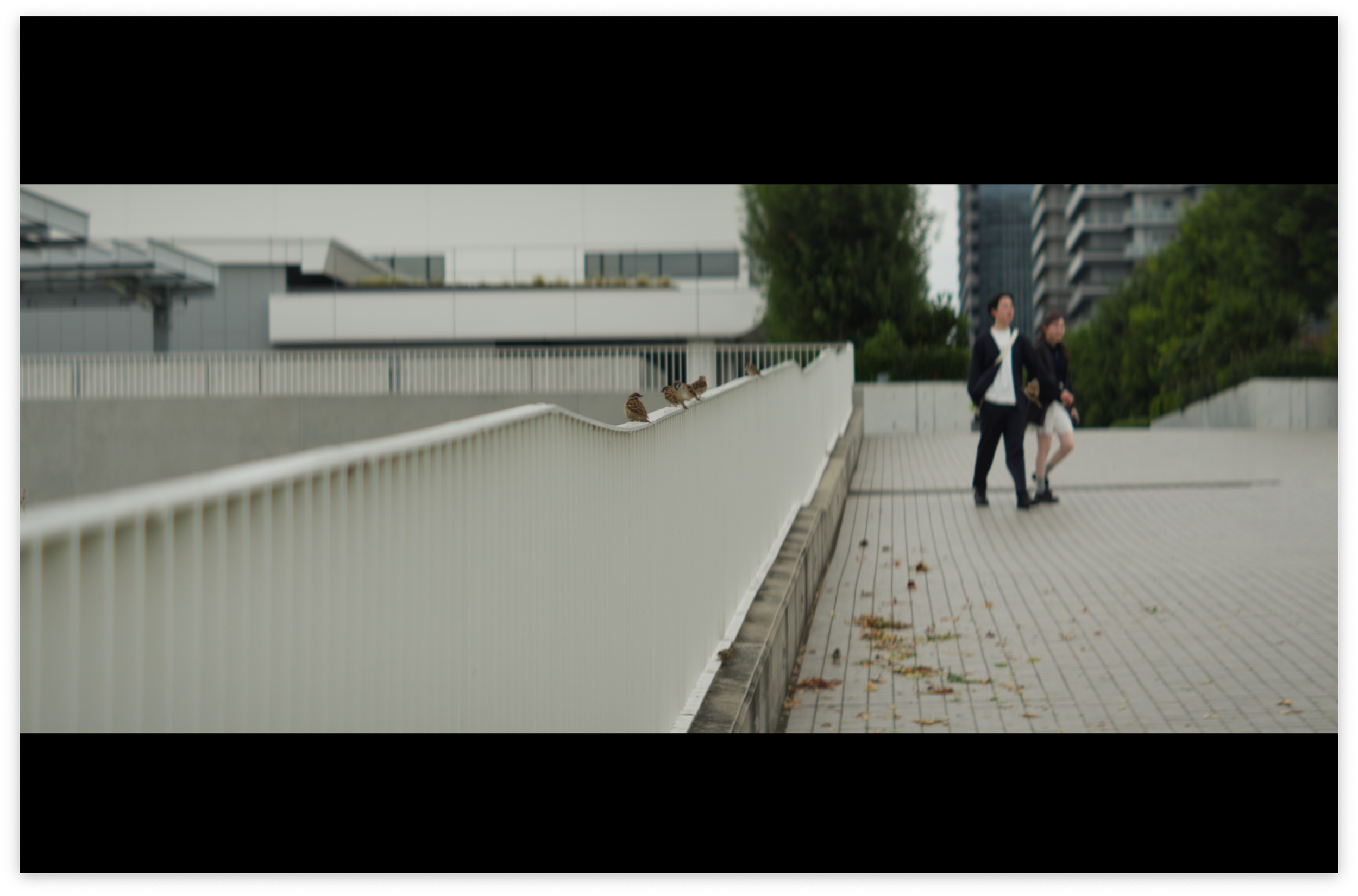 Kowa-Anamo_ST105_03.png