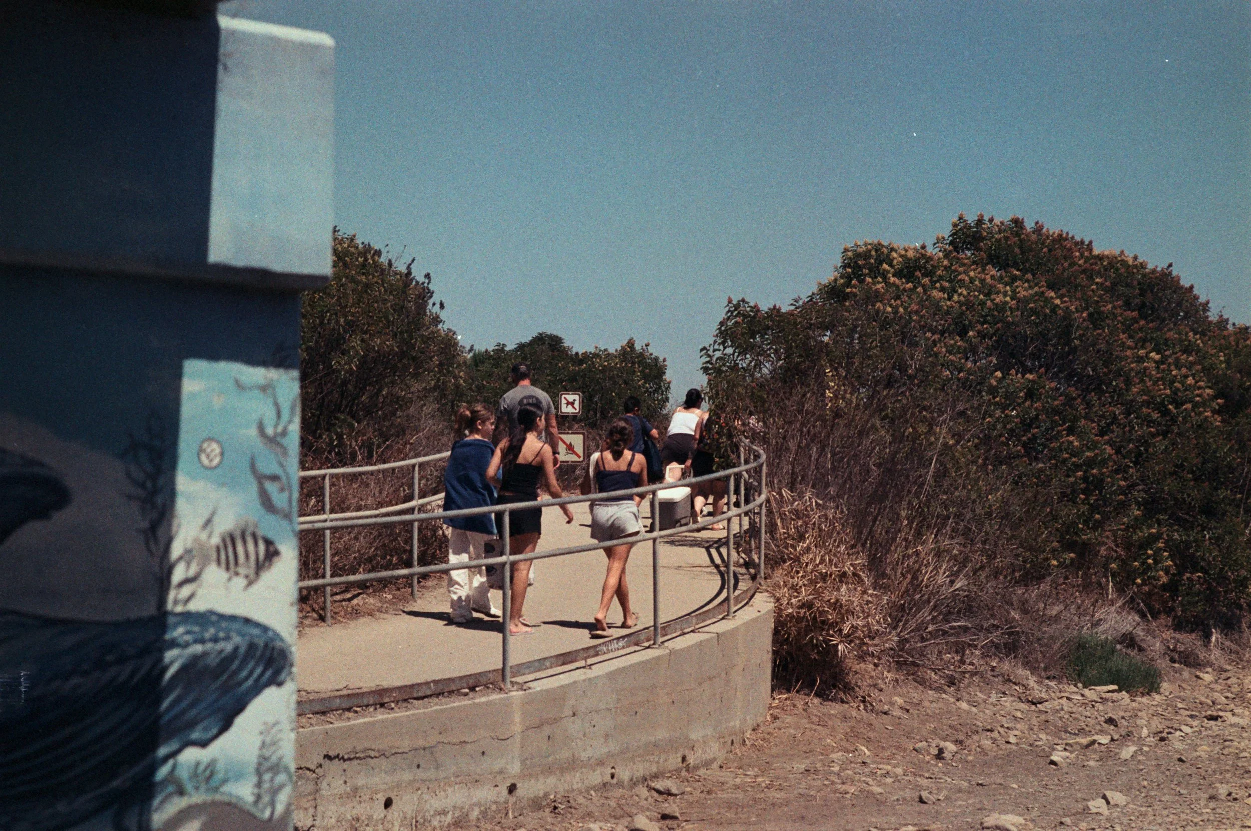 FE077_Fujifilm-nph400_0029.jpeg