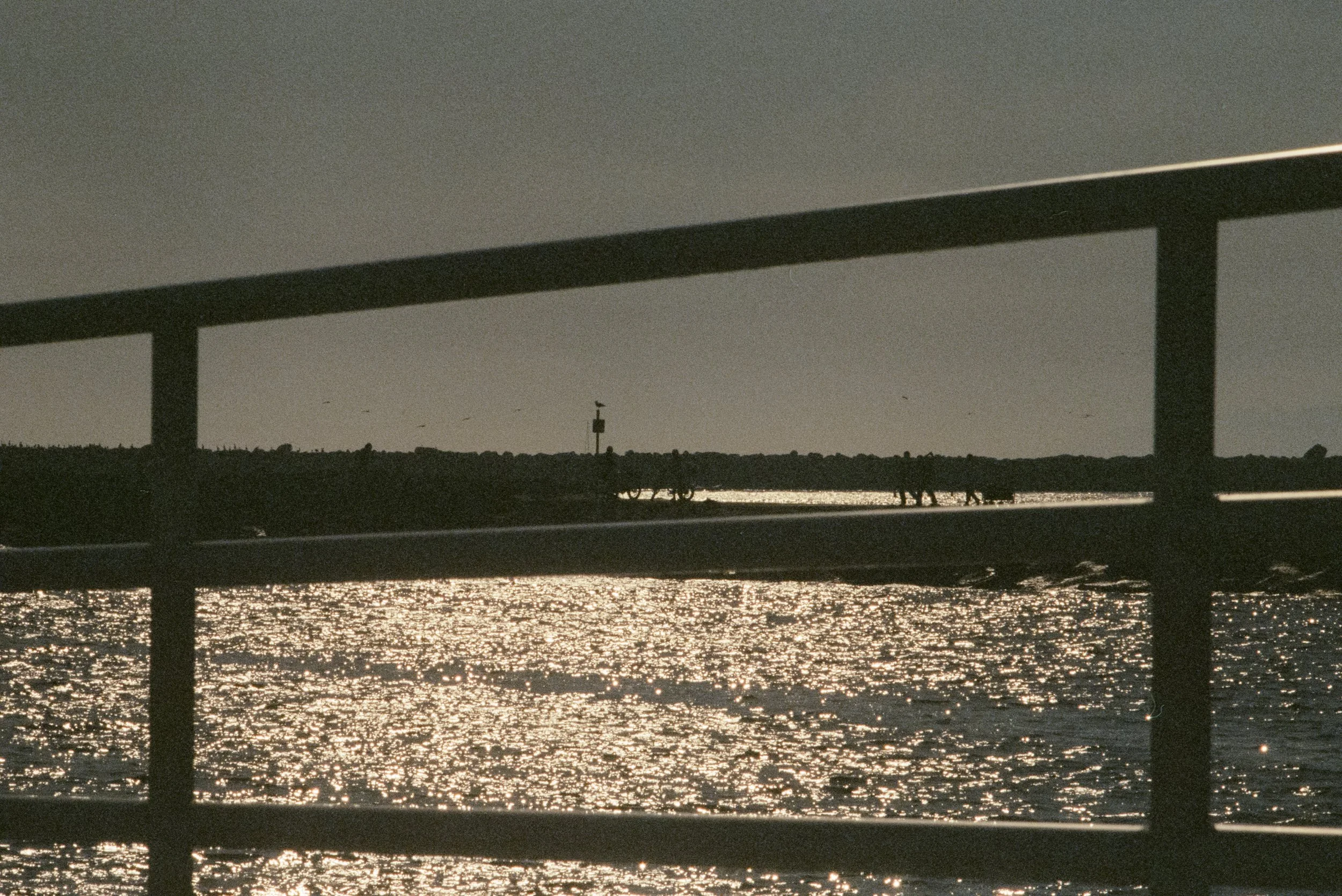 FE070_Kodak-v3-500T_0021.jpg