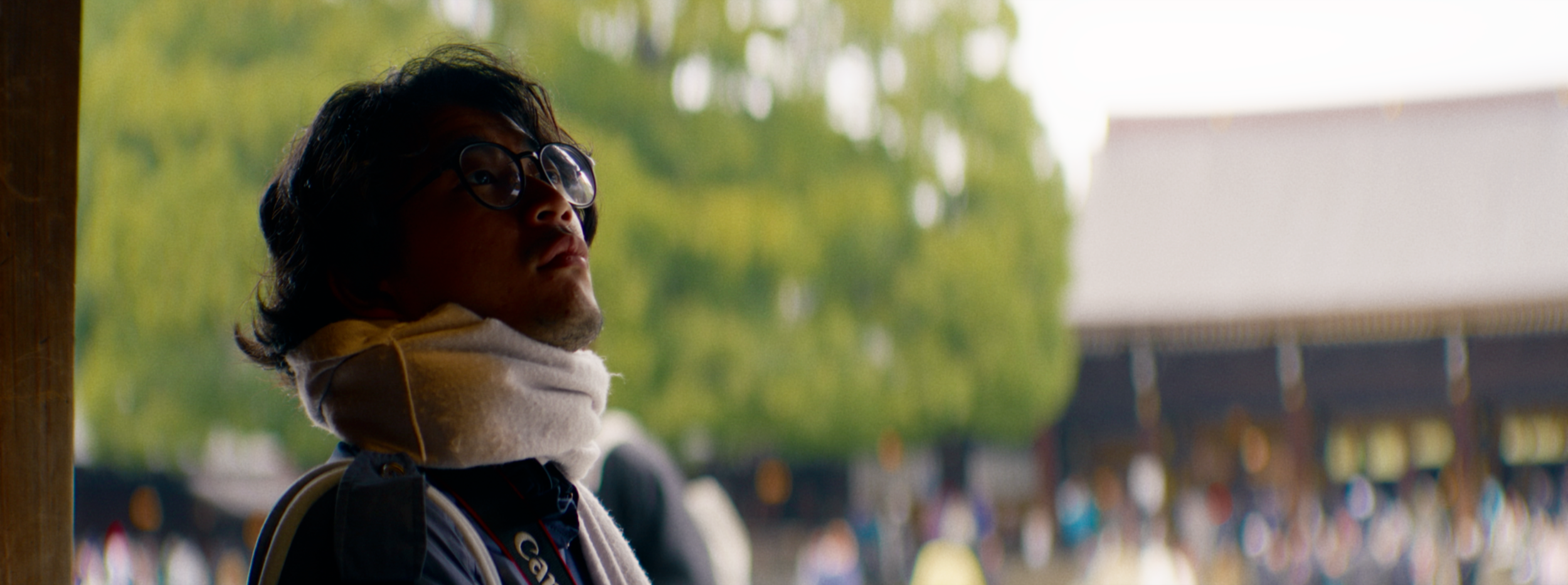 Digital (SONY FX2 + Blazar Remus Anamo 85mm)