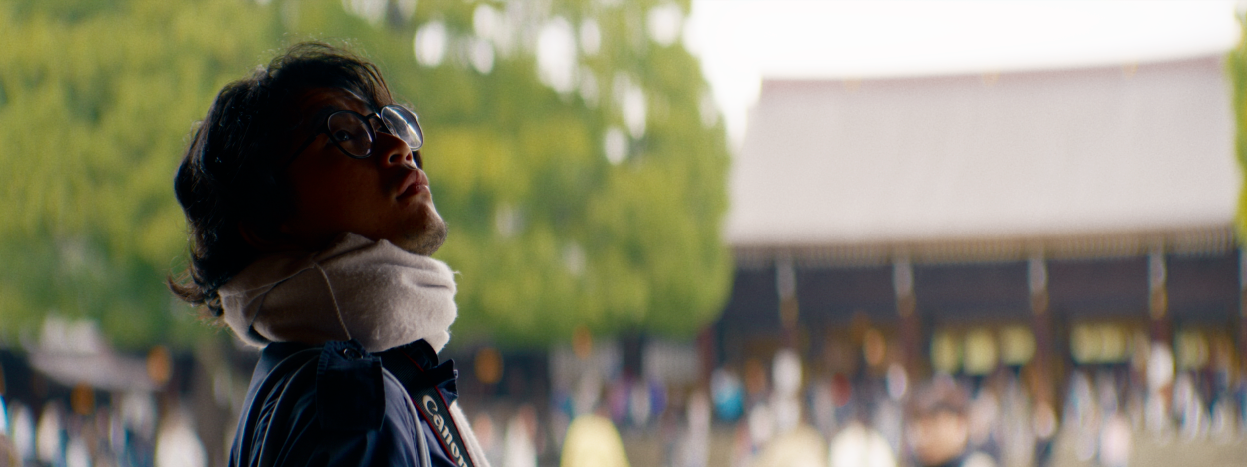 Digital (SONY FX2 + Blazar Remus Anamo 85mm)