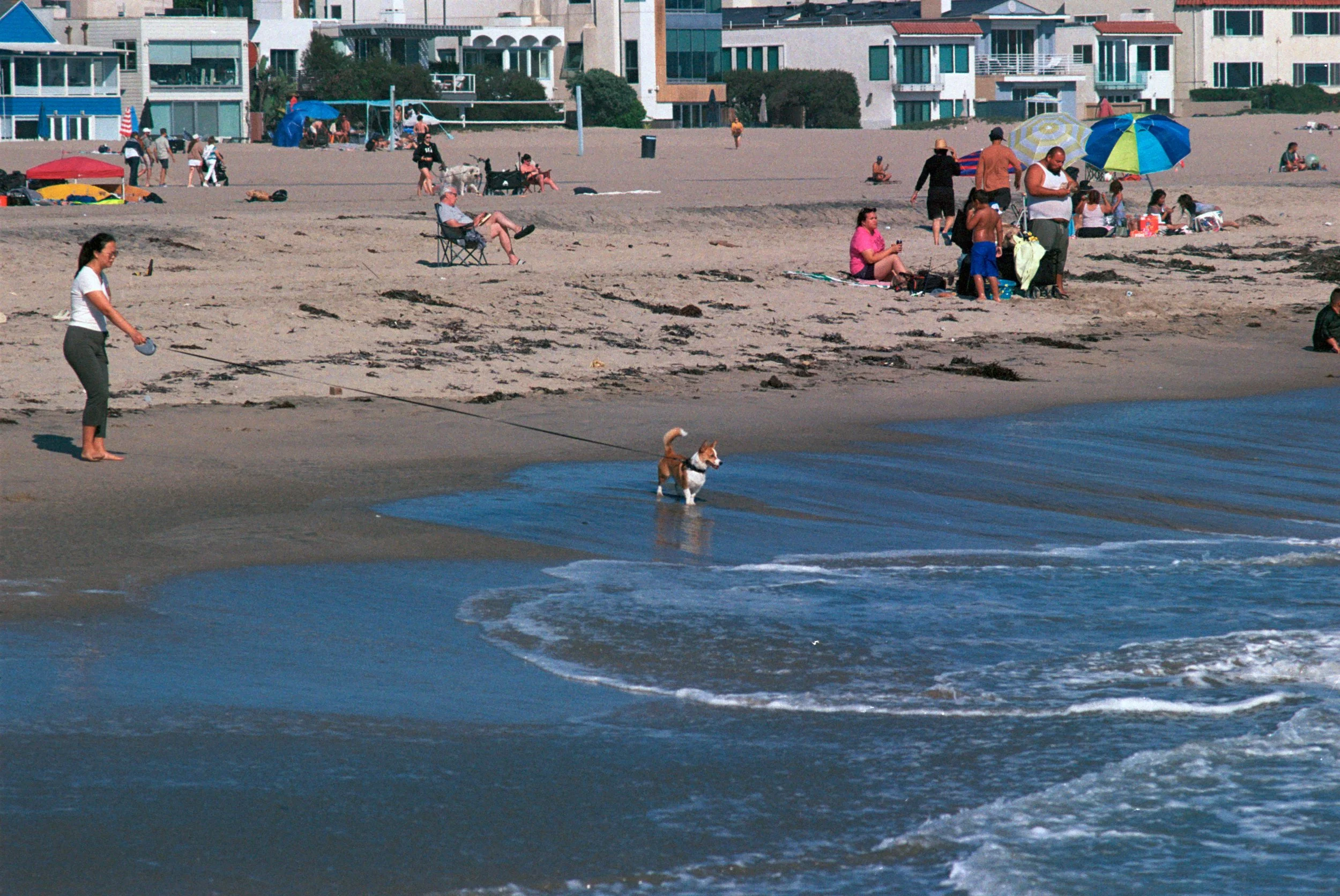 FE065_Fuji-c400_0016.jpeg