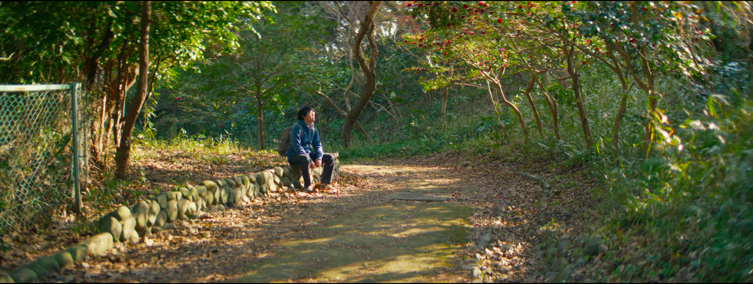 Digital (SONY FX2 + Blazar Remus Anamorphic 50mm)