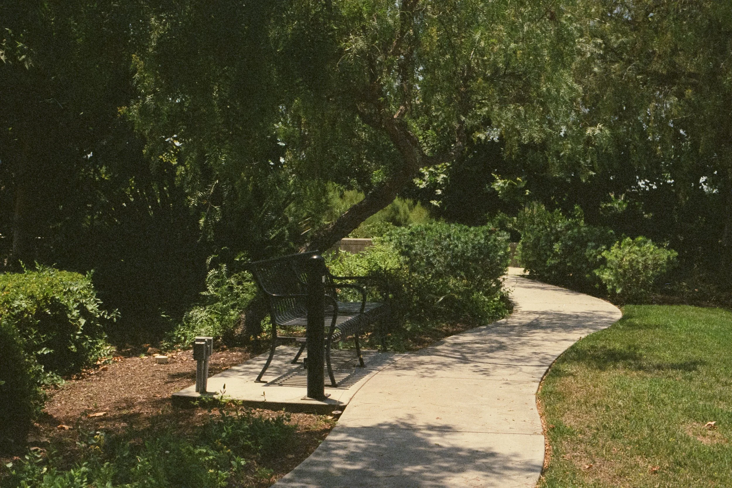 FE070_Kodak-v3-500T_0016.jpg