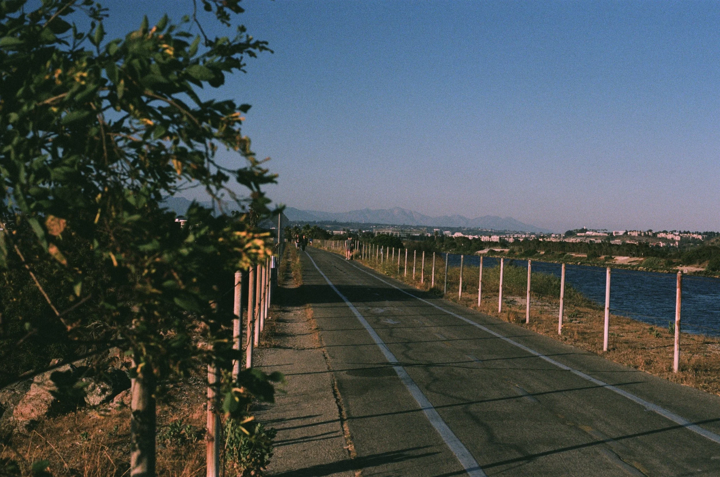 FE060_Kodak-p400_0030_edit_2_small.jpeg