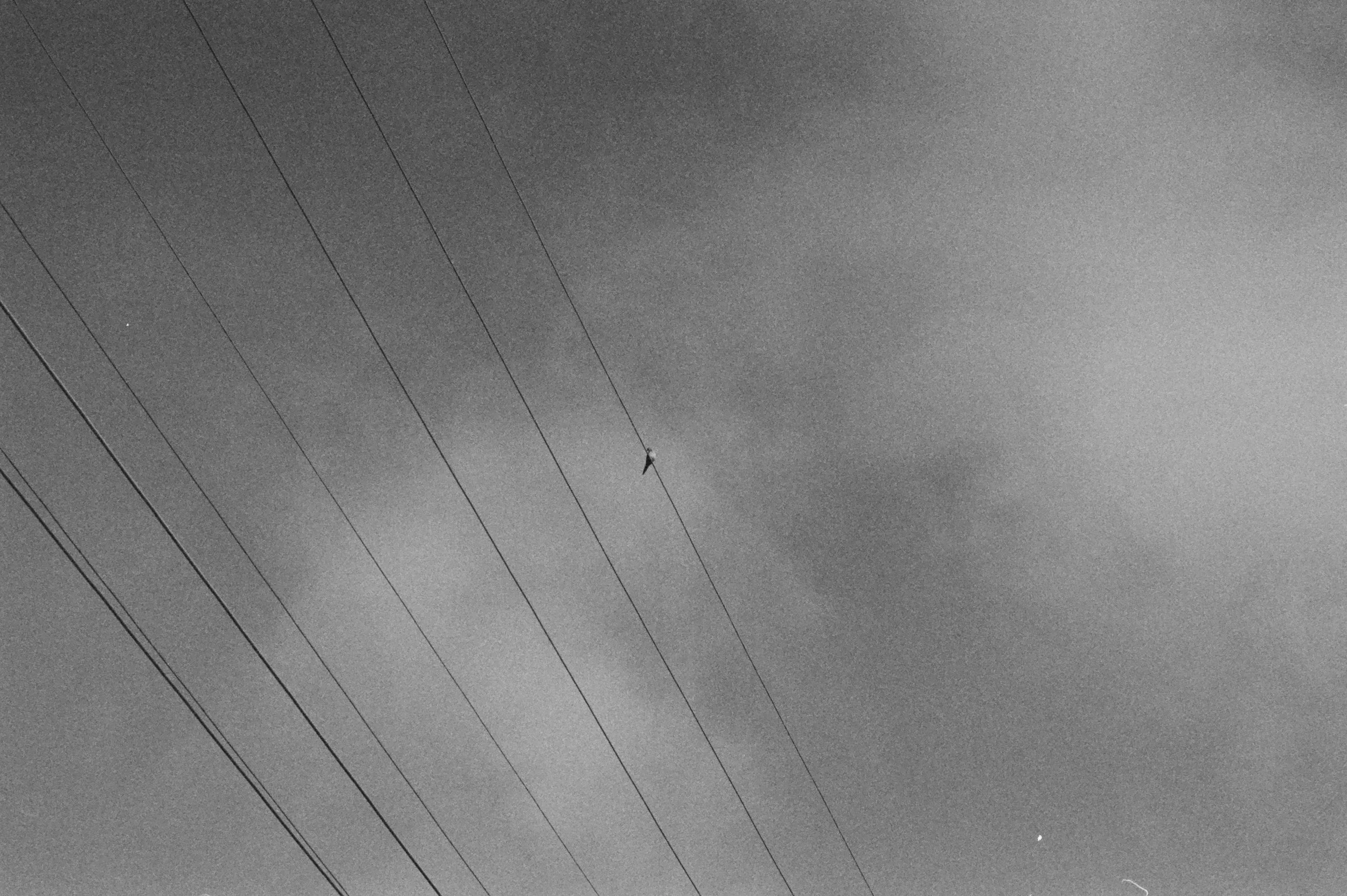 FE074_Kodak-t400cn_0010.jpeg