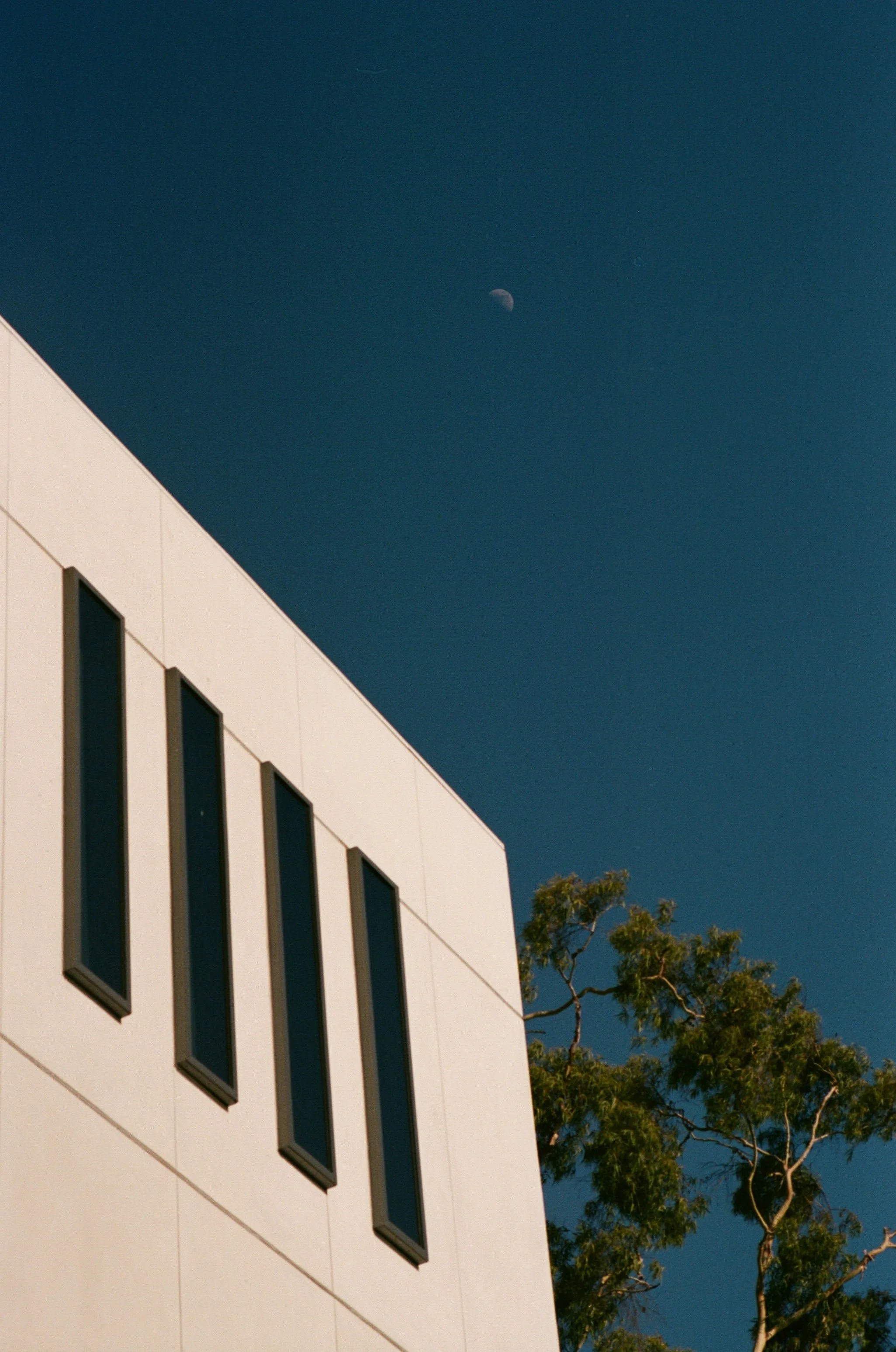FE063_Kodak-p400_0036.jpg
