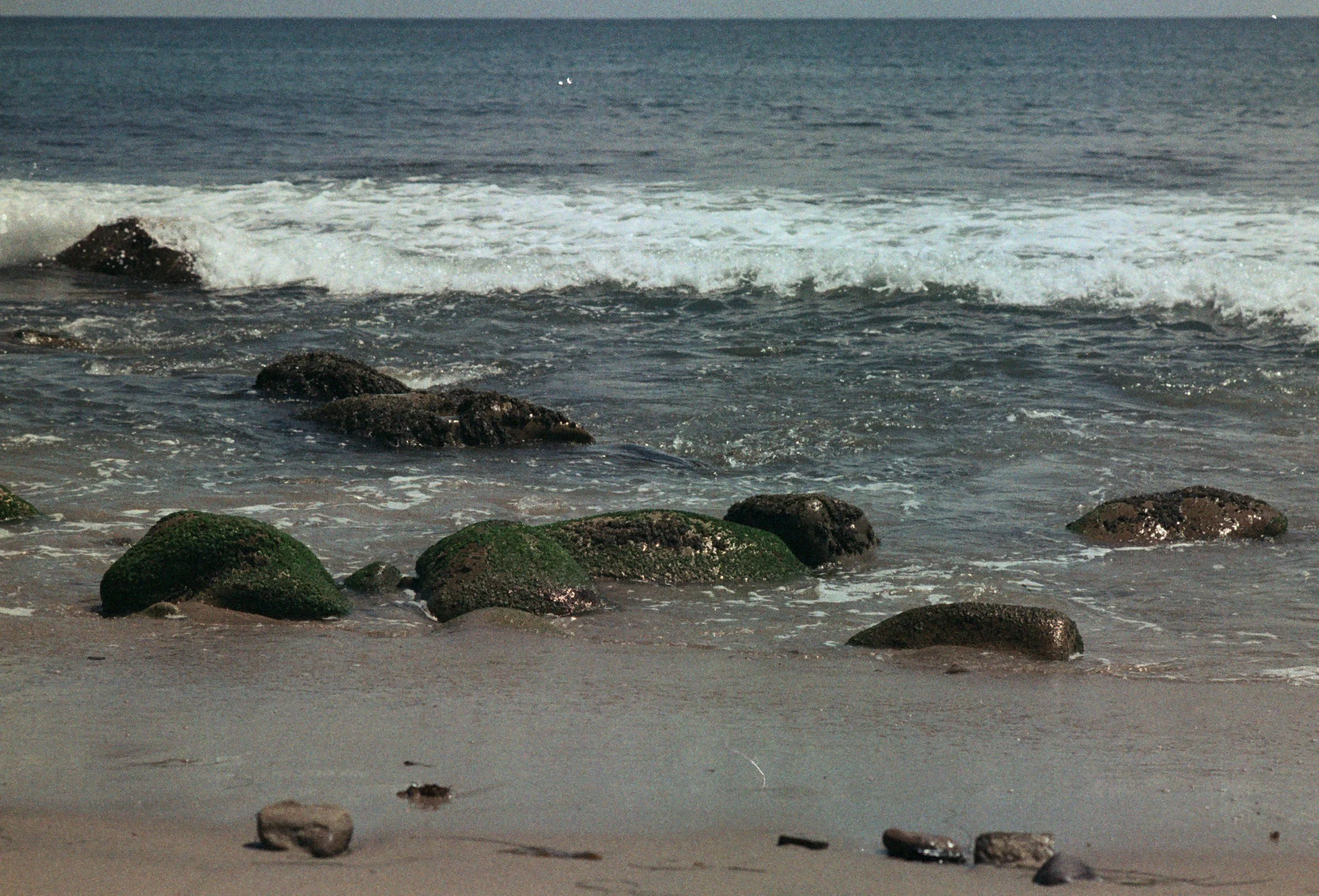 FE077_Fujifilm-nph400_0036.jpeg