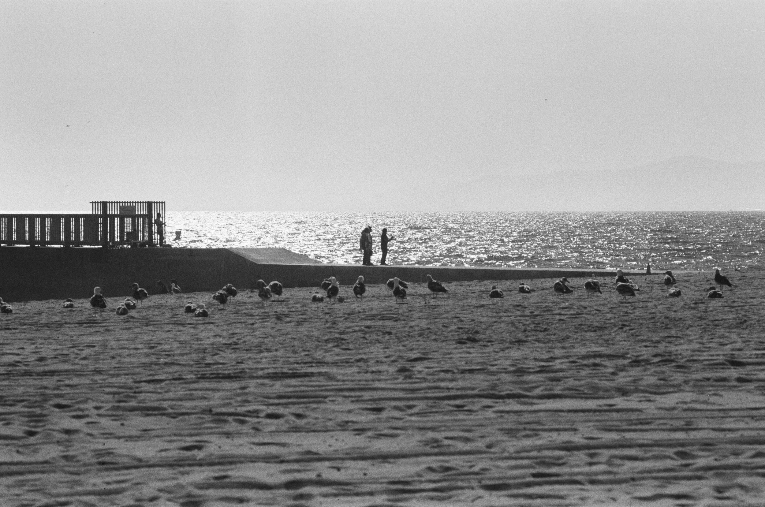 E058_038.jpg