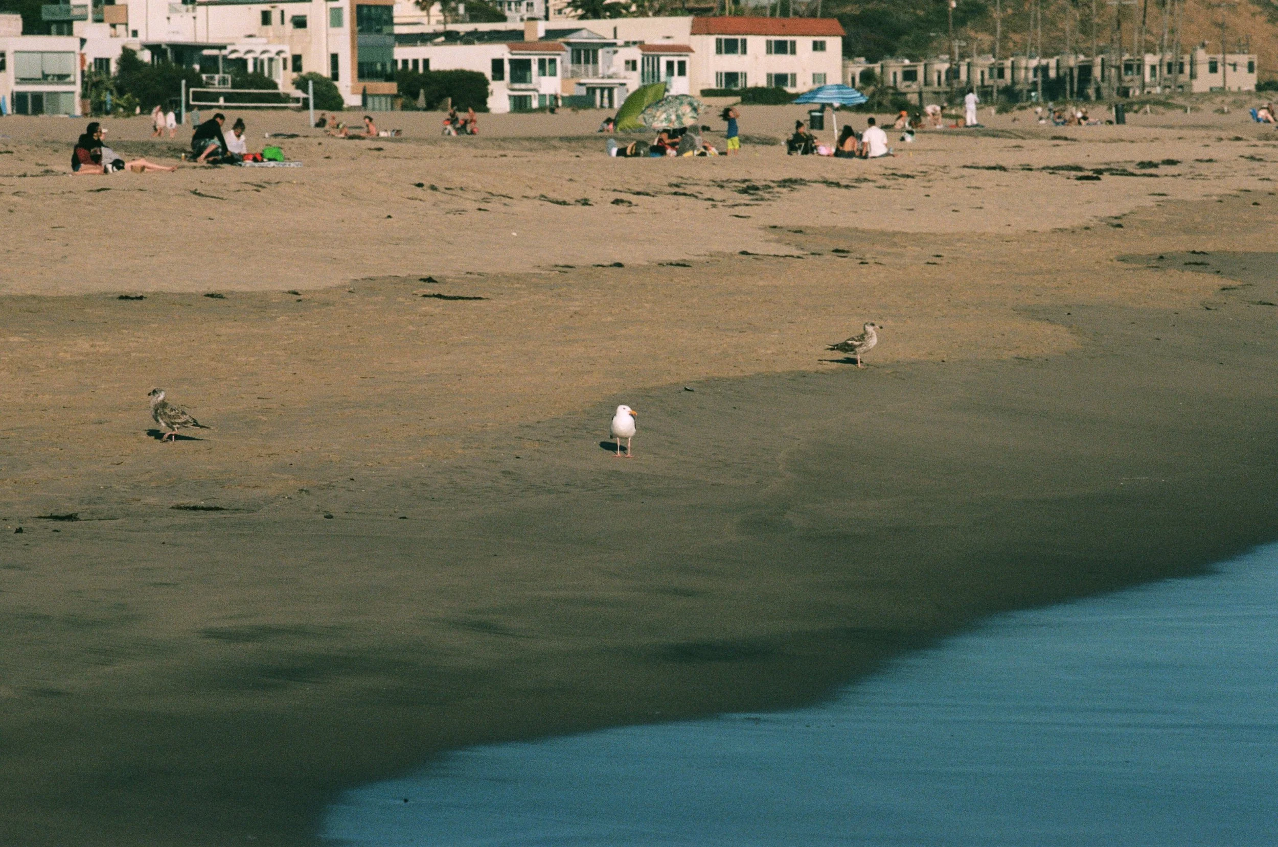 FE060_Kodak-p400_0005_edit_2_small.jpeg