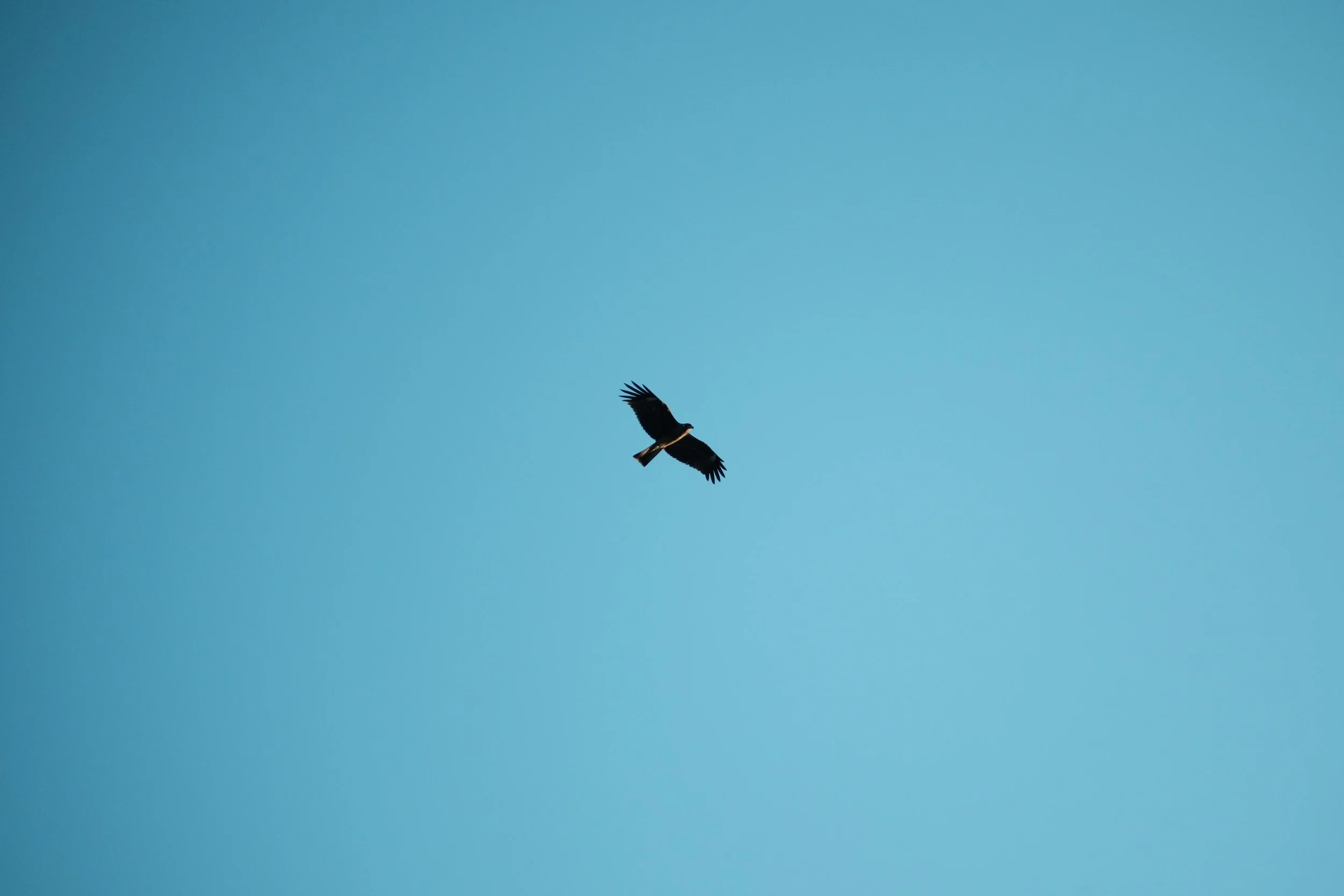DSC01300_edit.jpeg