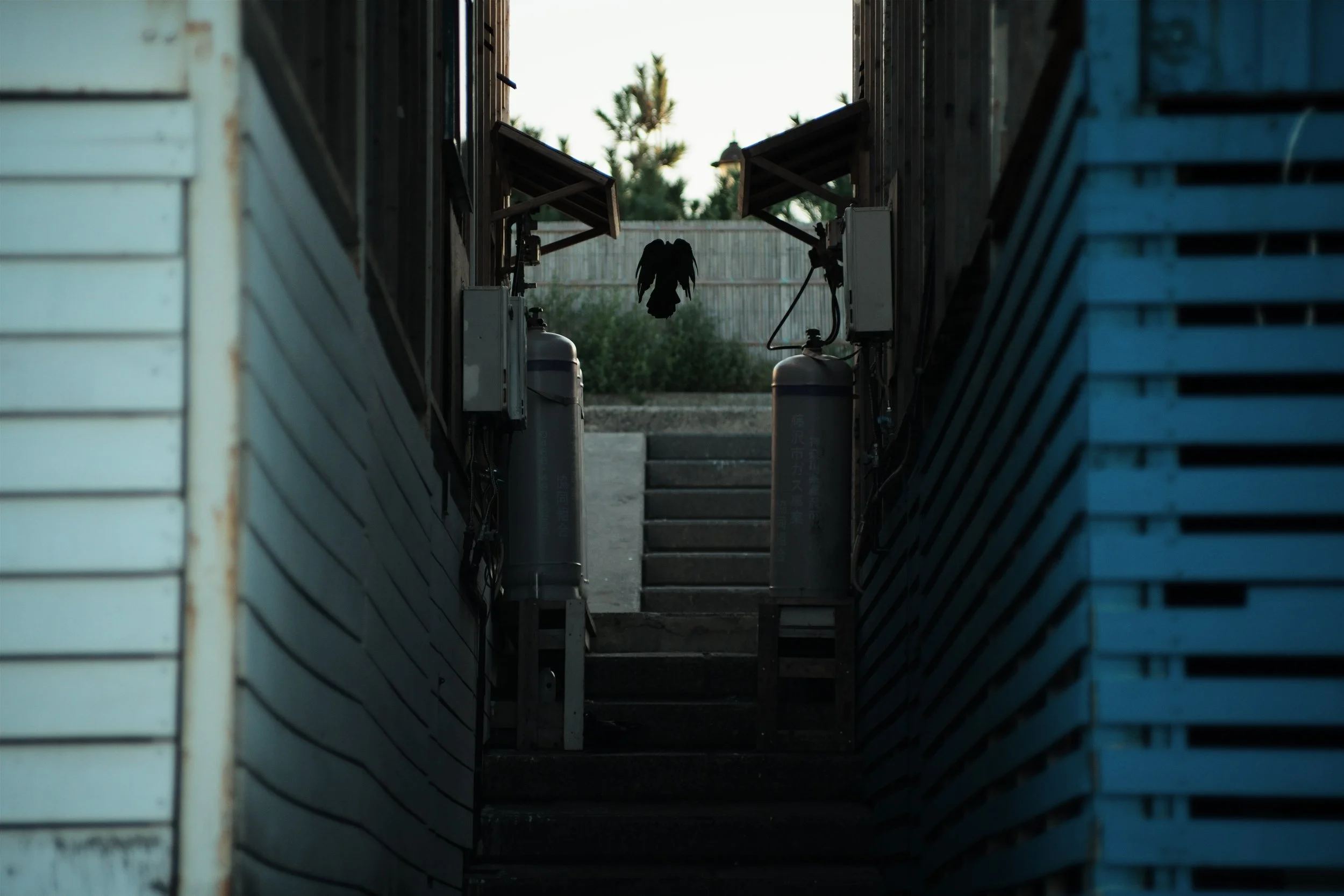 DSC01296_edit.jpeg