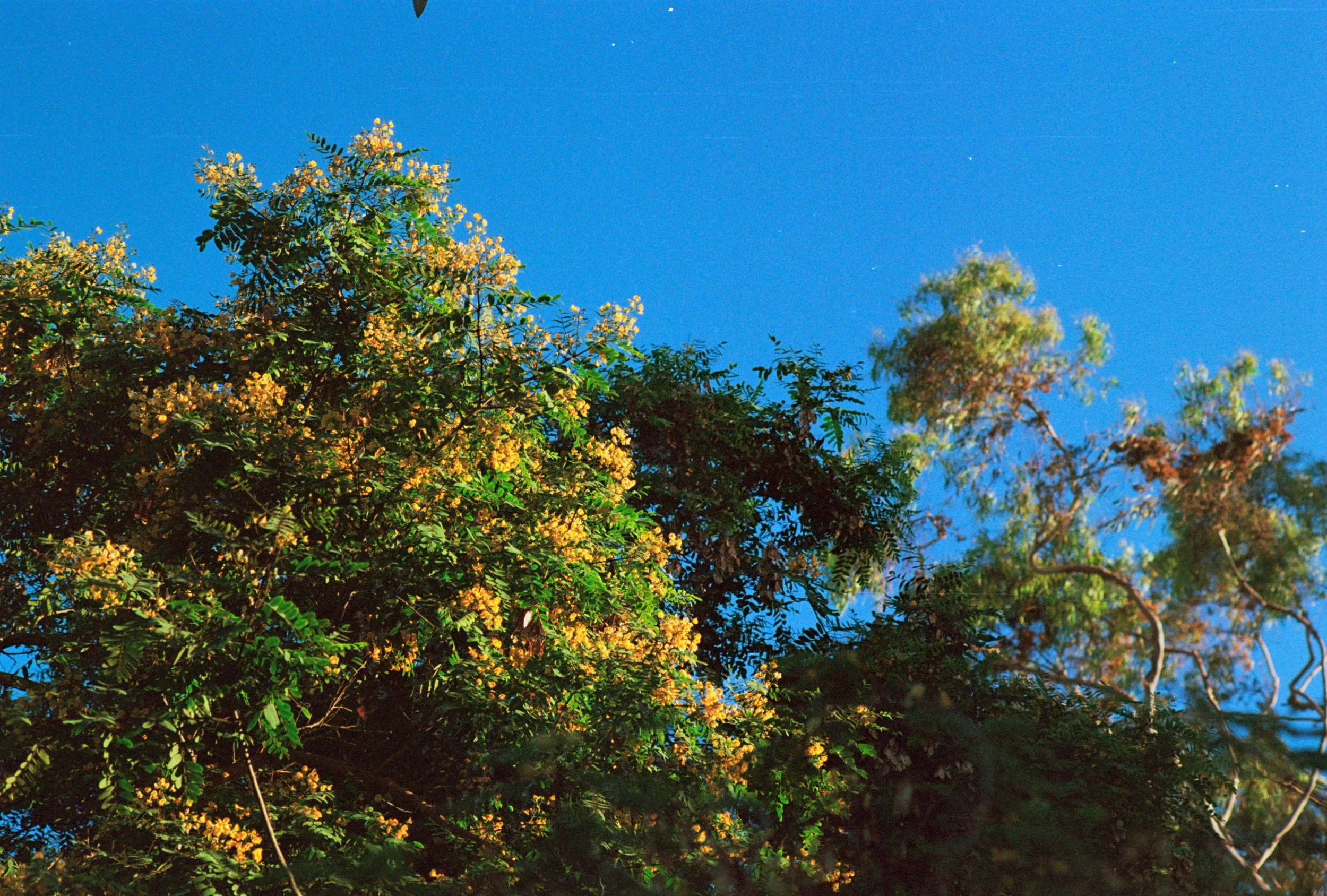 FE065_Fuji-c400_0035.jpeg