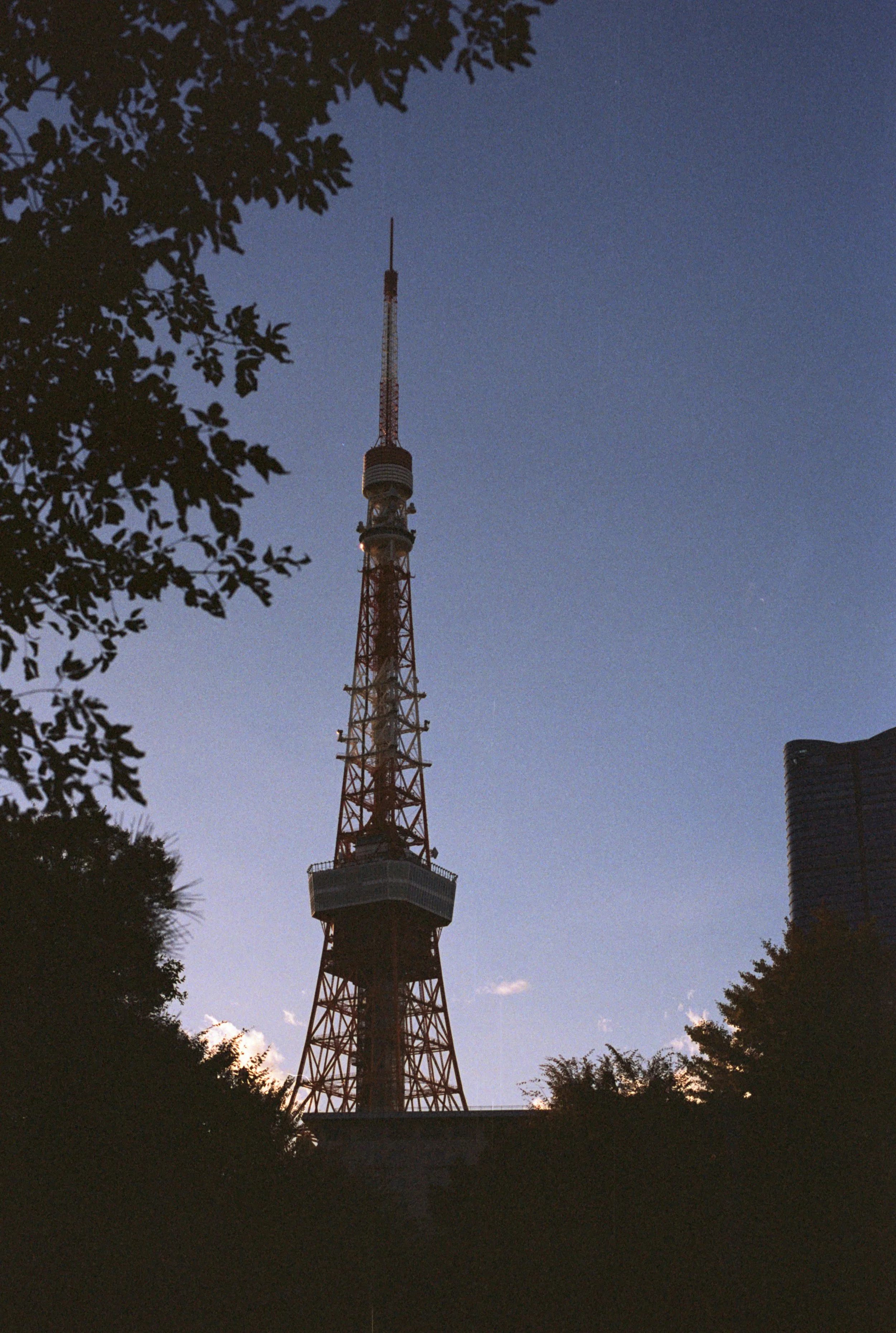 FE085_Kodak-p400_0007.jpg
