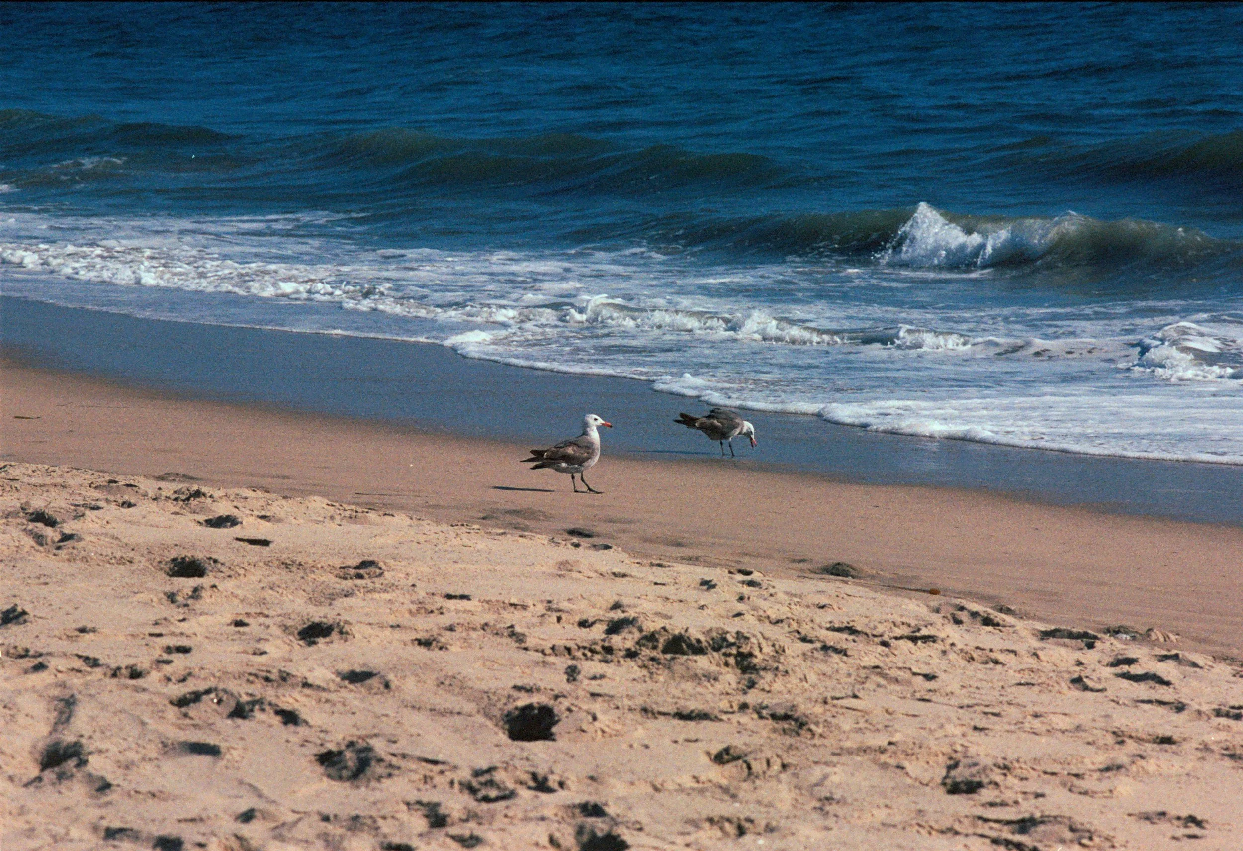 FE073_Kodak-p400_0015.jpeg