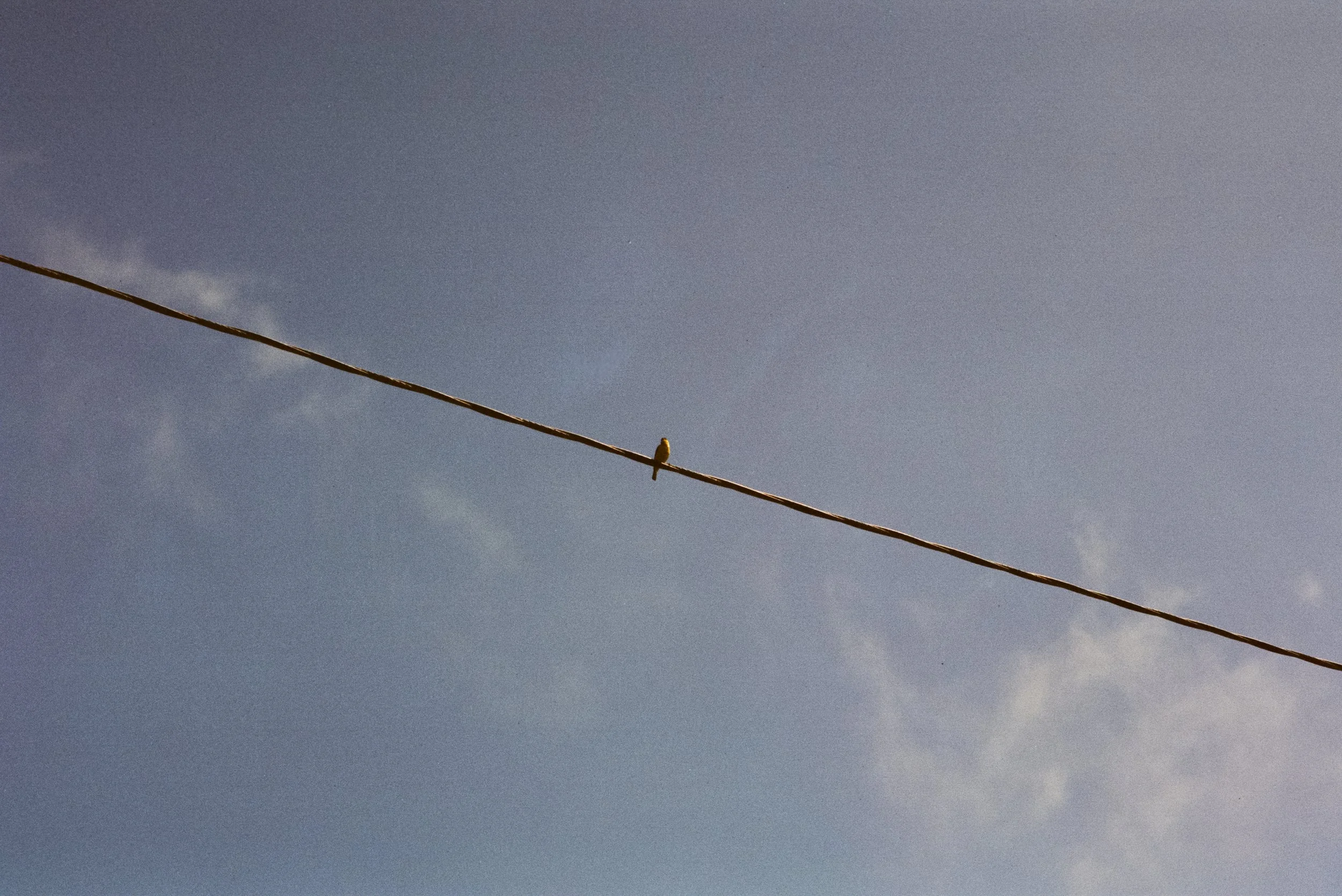 FE062_Kodak-v3-250D_0006.jpg