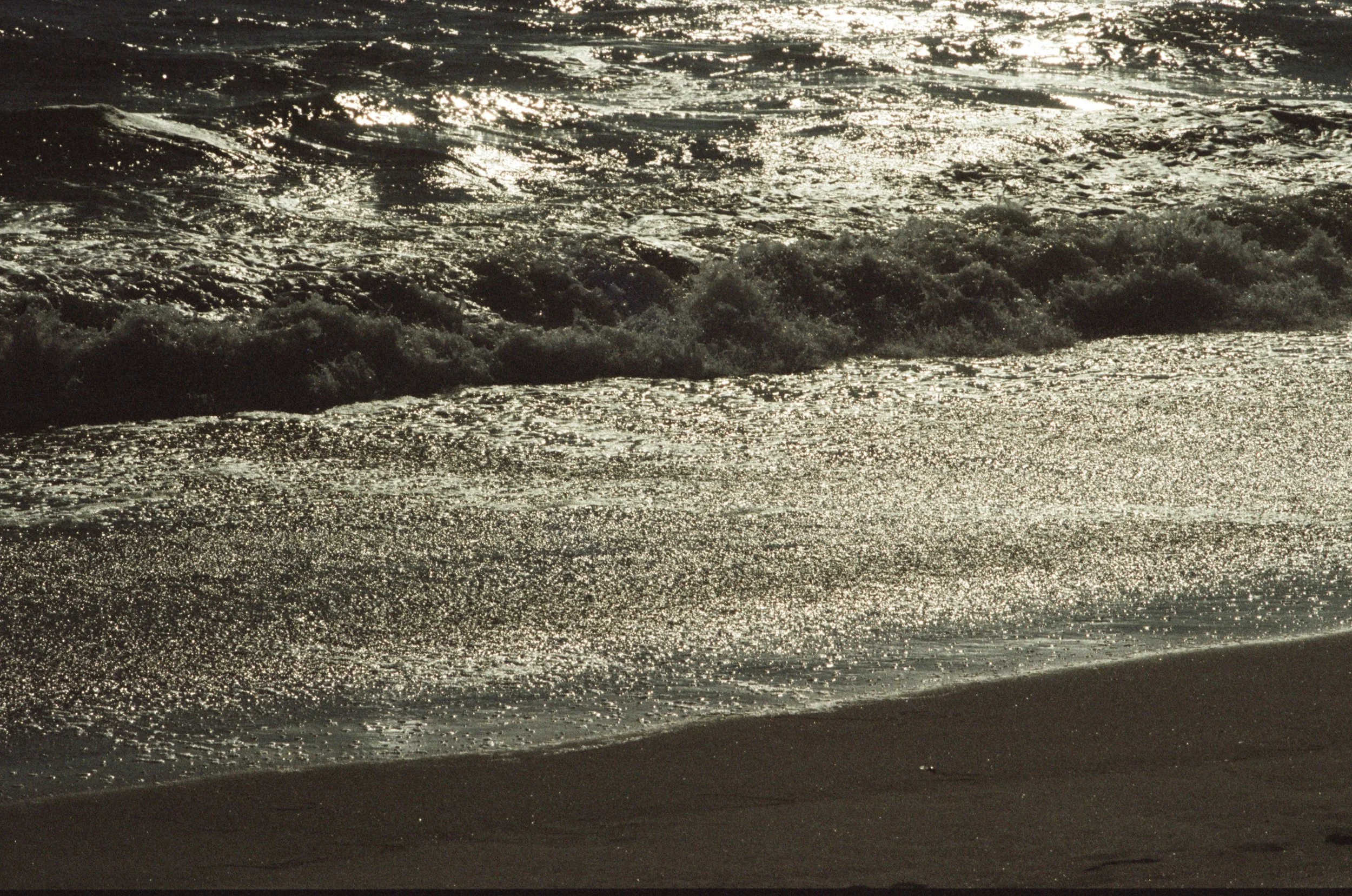 FE059_Kodak-v3-250D_0016_edit.jpeg