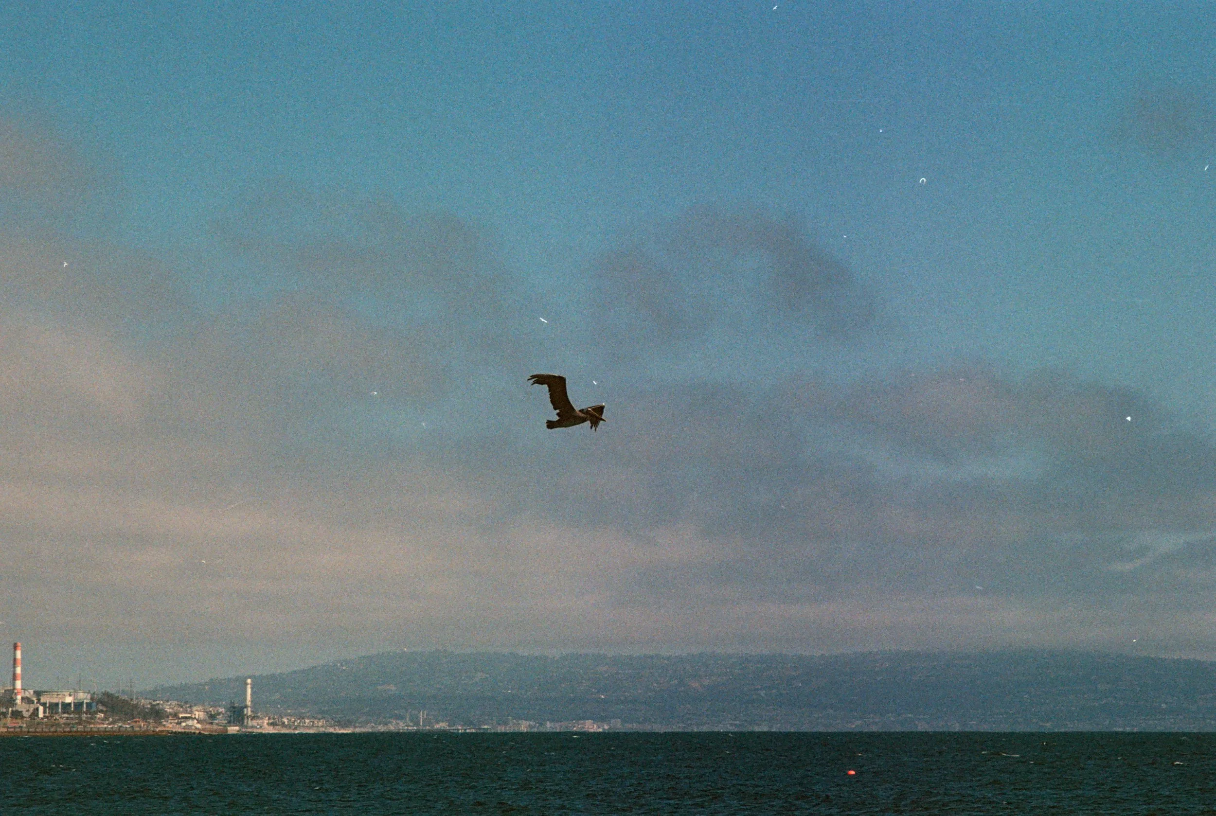 FE072_Kodak-um400_0035.jpeg