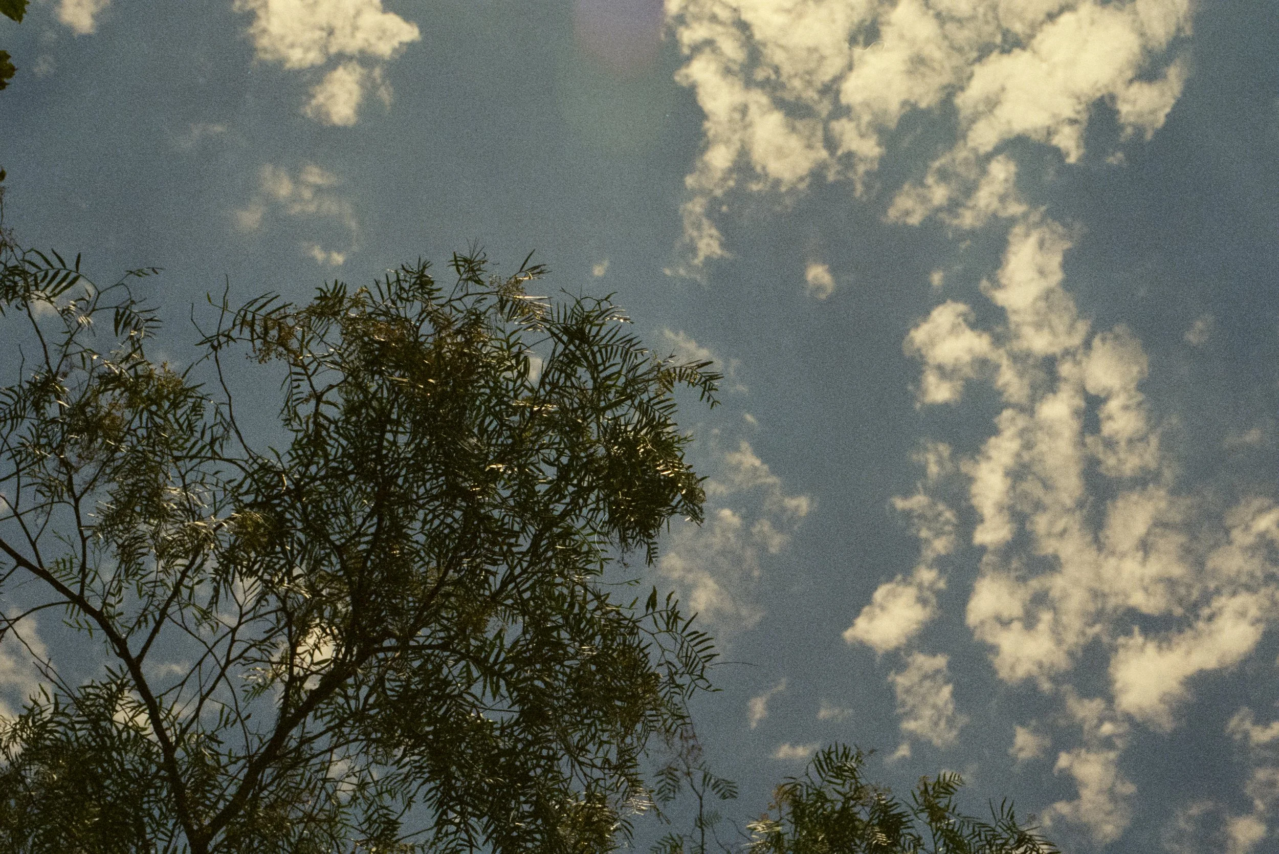 FE070_Kodak-v3-500T_0017.jpg