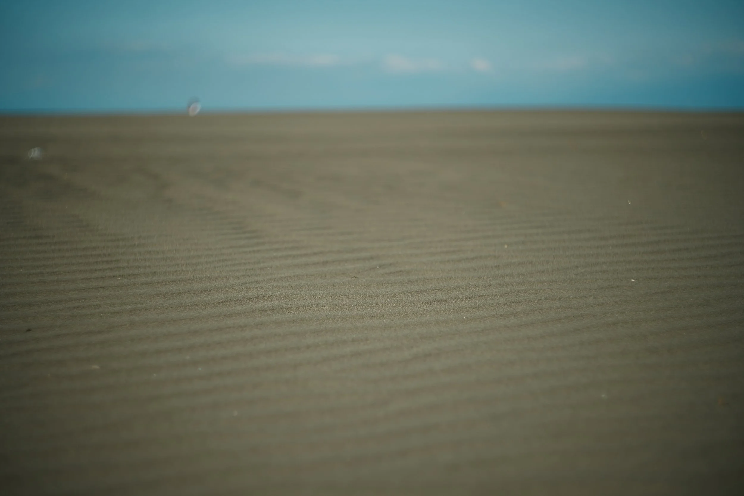 DSC00830_edit.jpeg