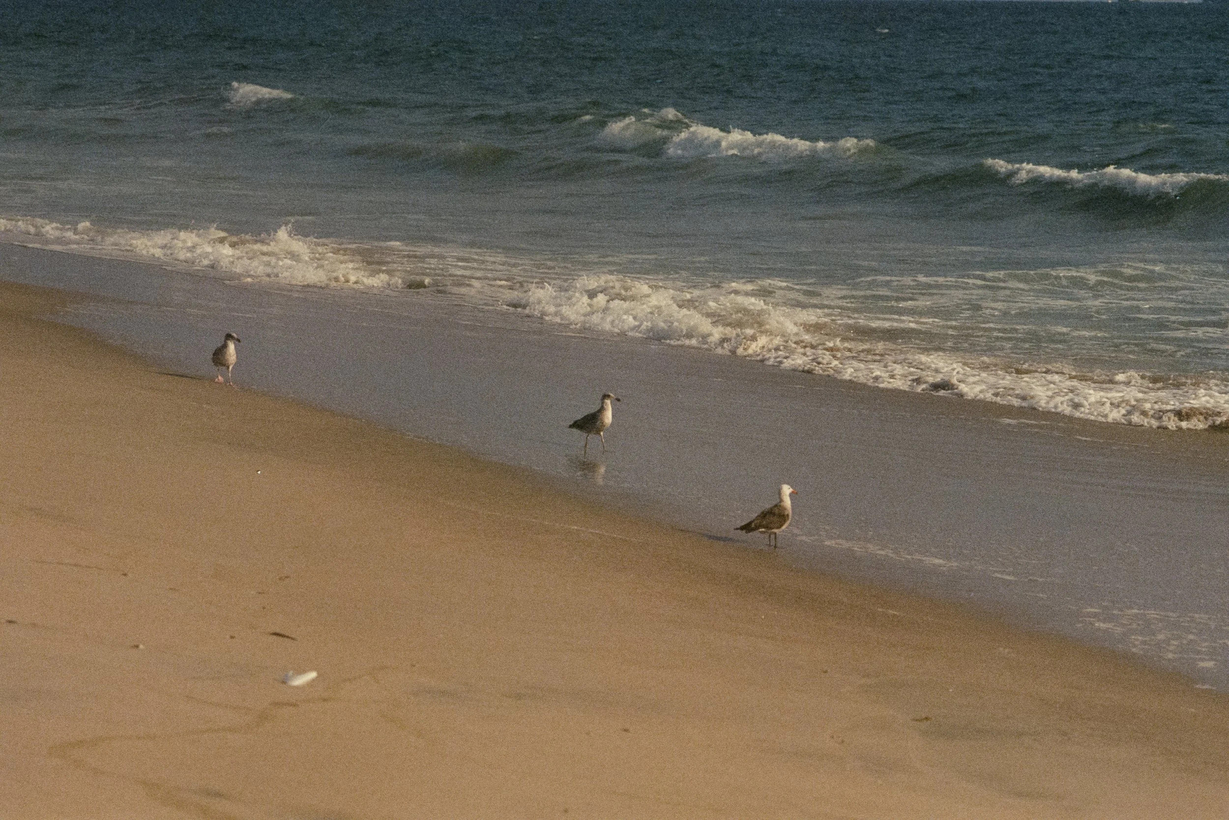 FE070_Kodak-v3-500T_0031.jpg