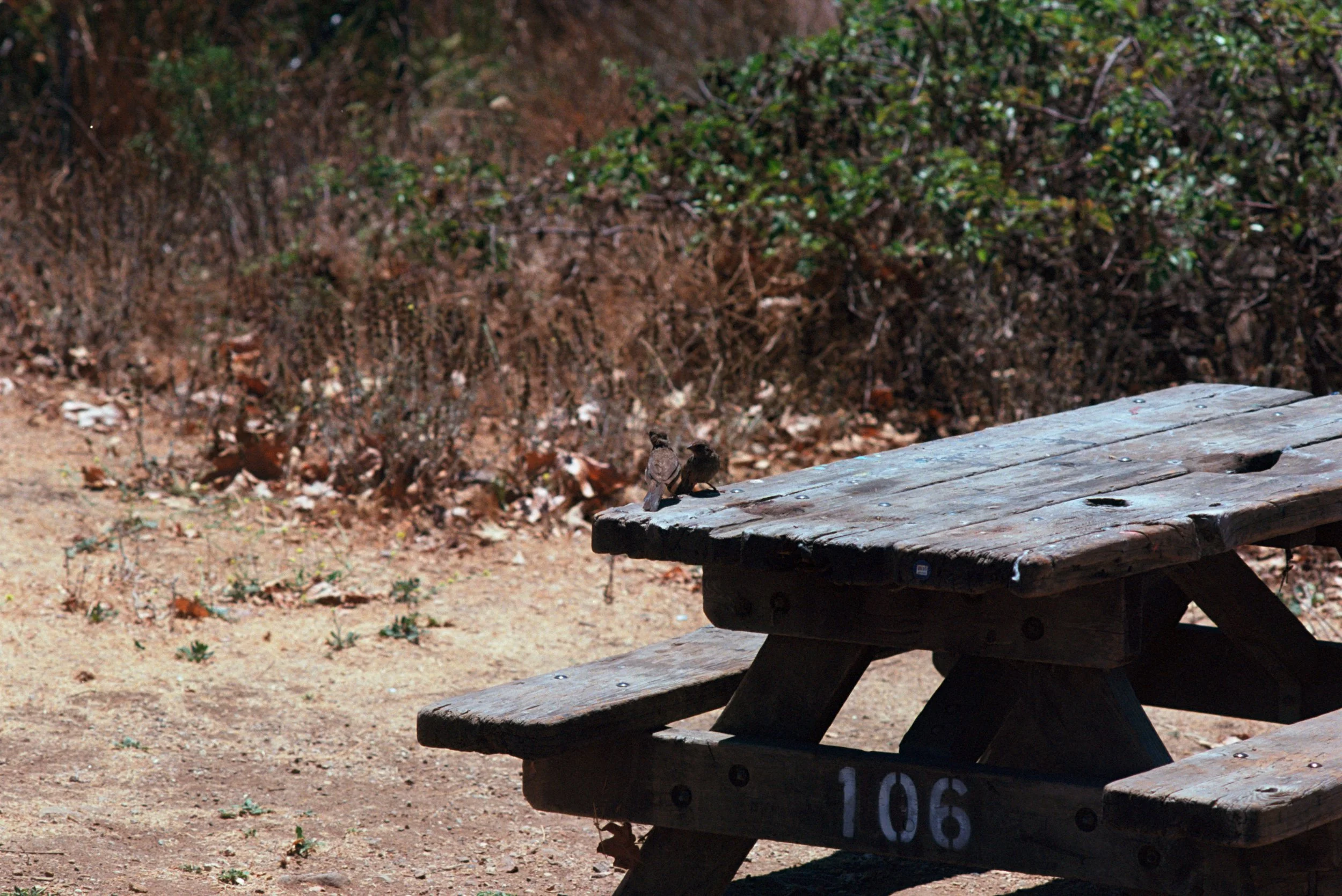 FE076_Kodak-e100_0031.jpeg