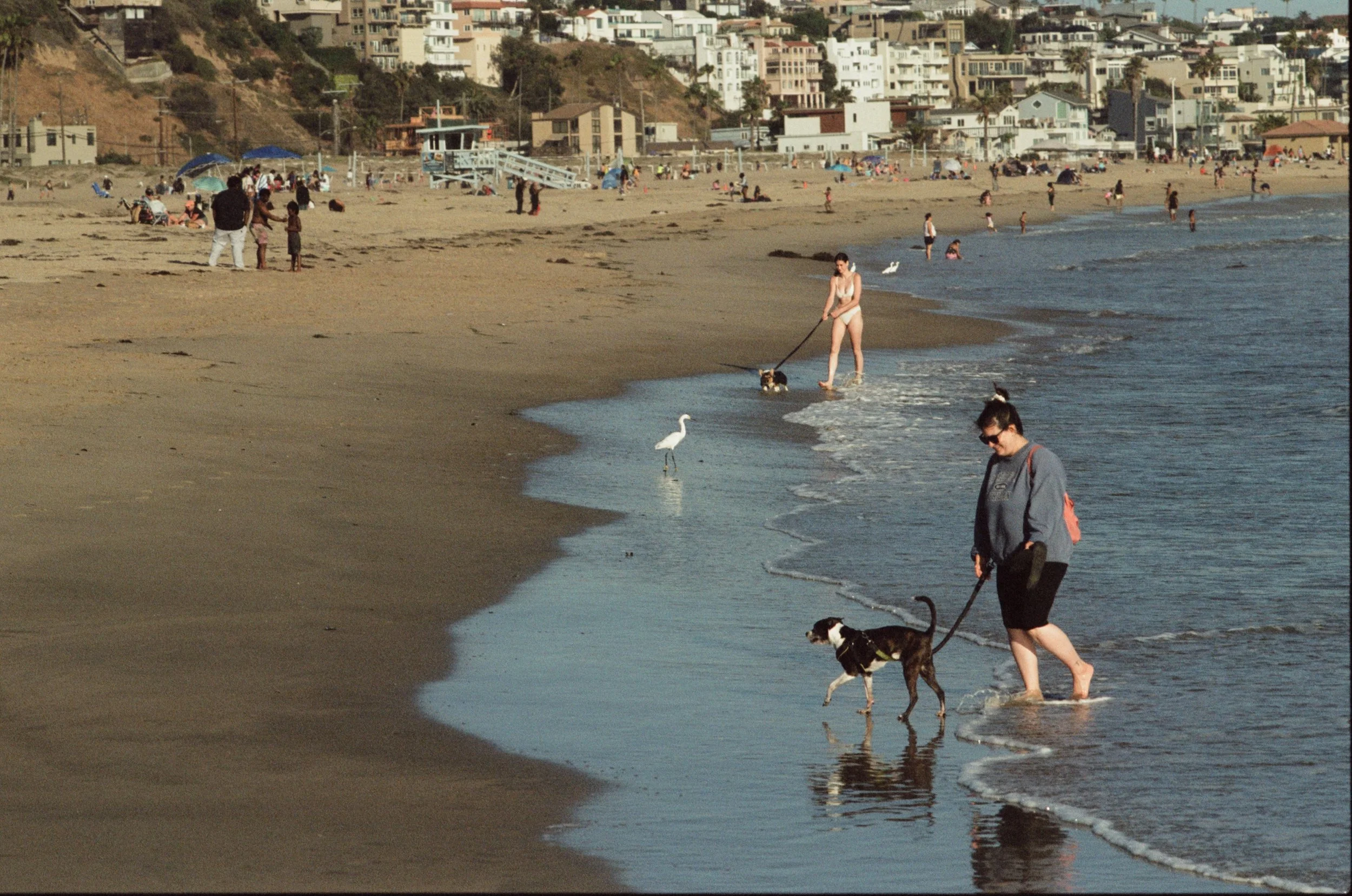 FE059_Kodak-v3-250D_0030_edit.jpeg