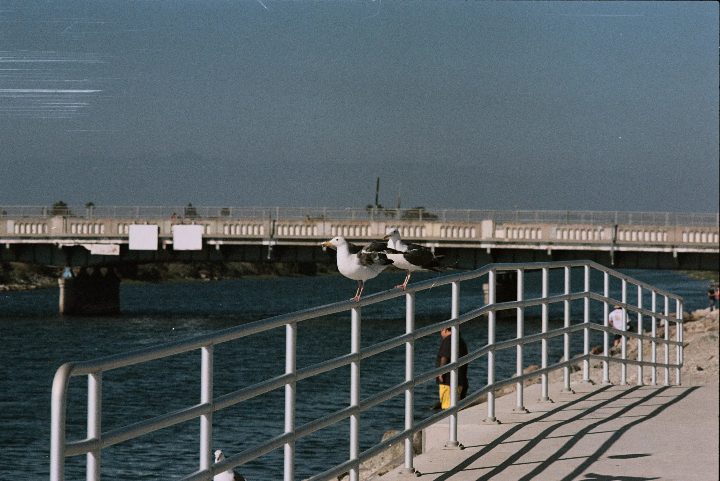 FE065_Fuji-c400_0026.jpeg