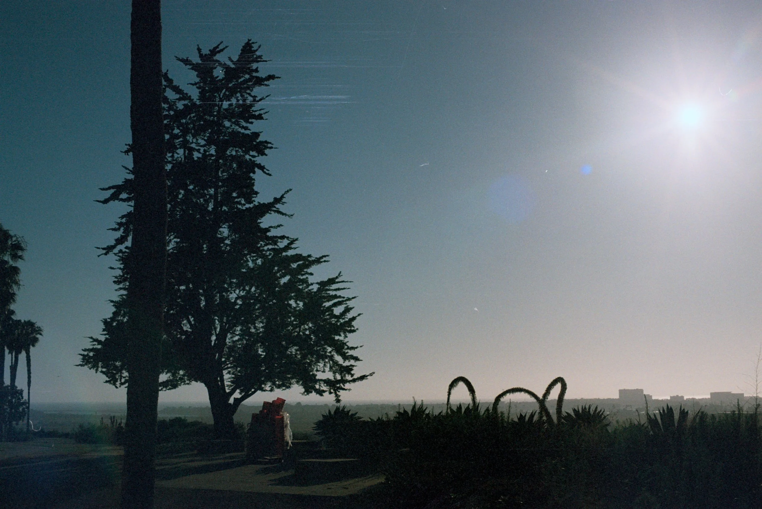 FE065_Fuji-c400_0029.jpeg