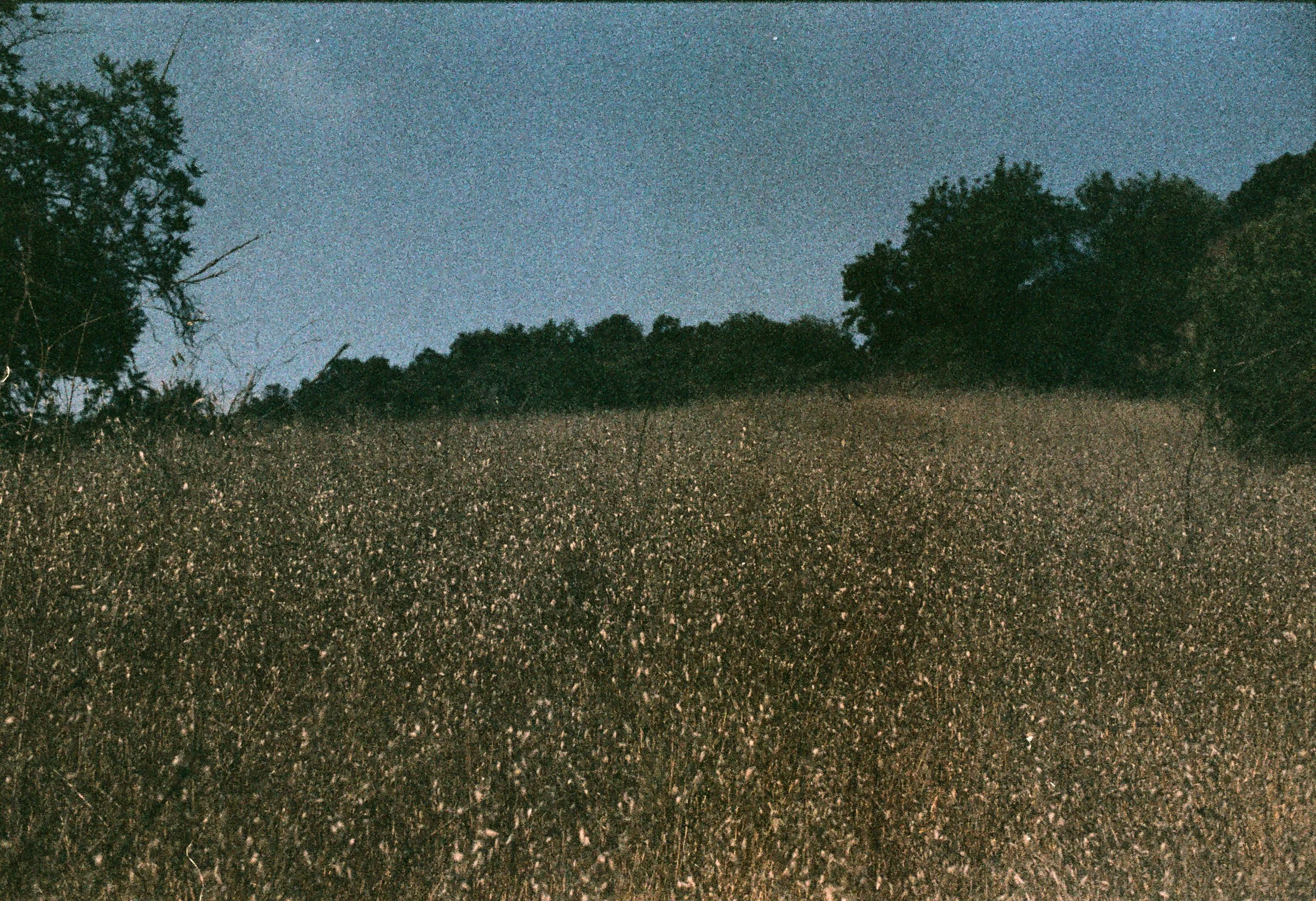 FE069_Fujifilm-nph400_0030.jpeg