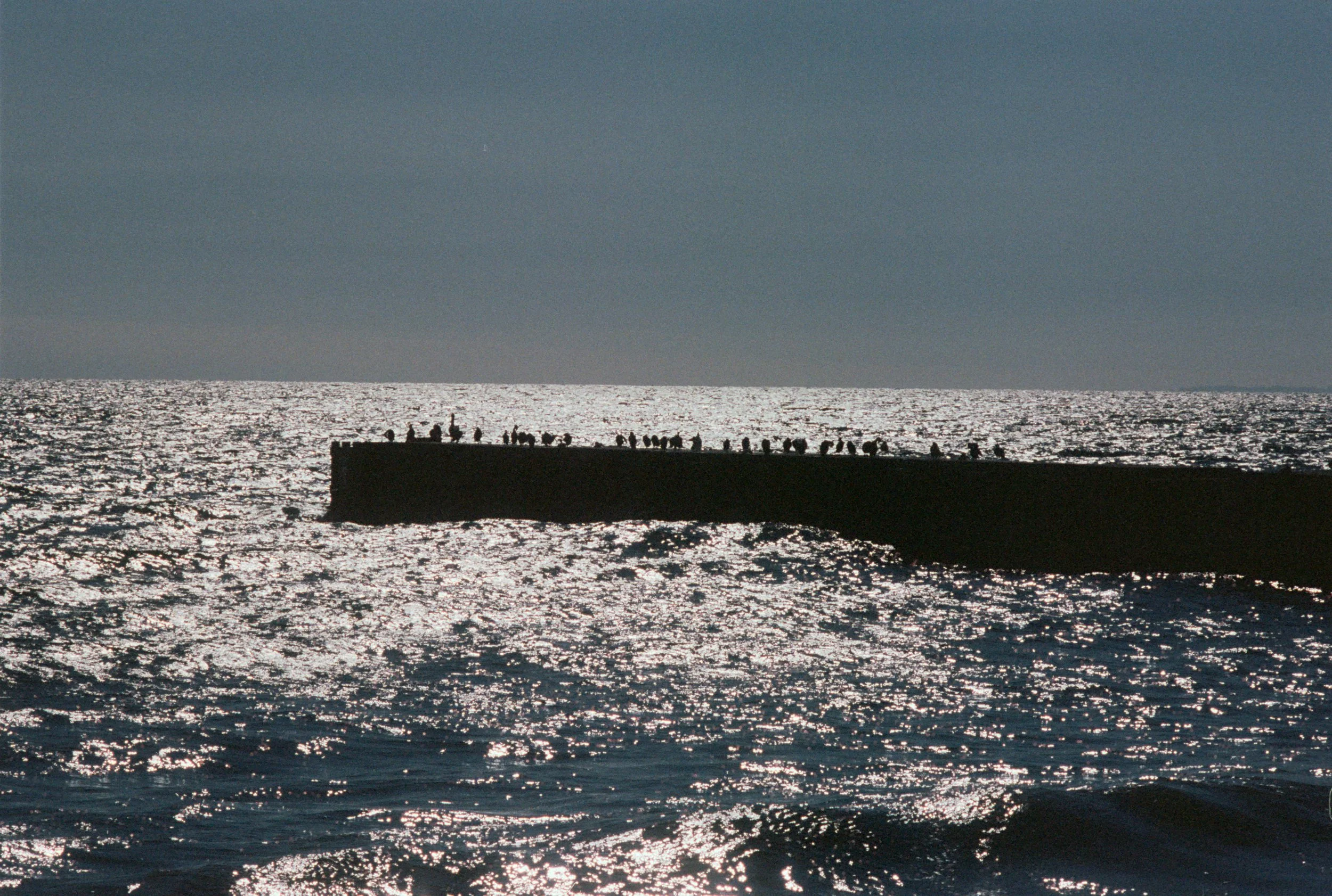 FE073_Kodak-p400_0017.jpeg