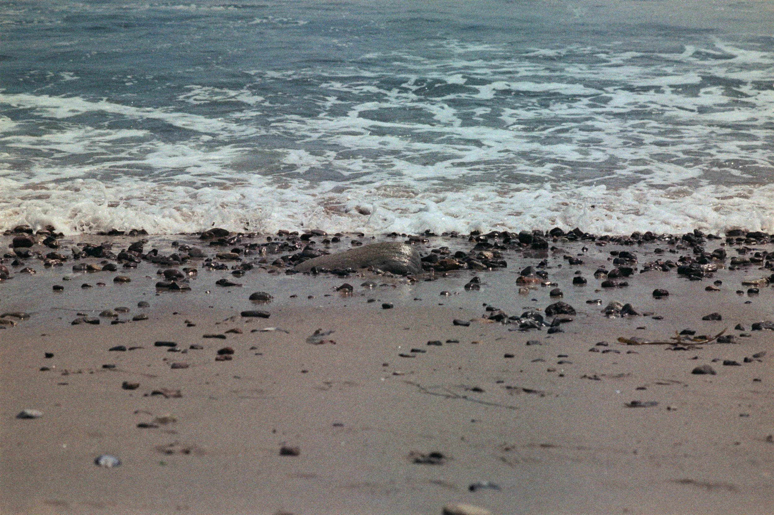 FE077_Fujifilm-nph400_0031.jpeg