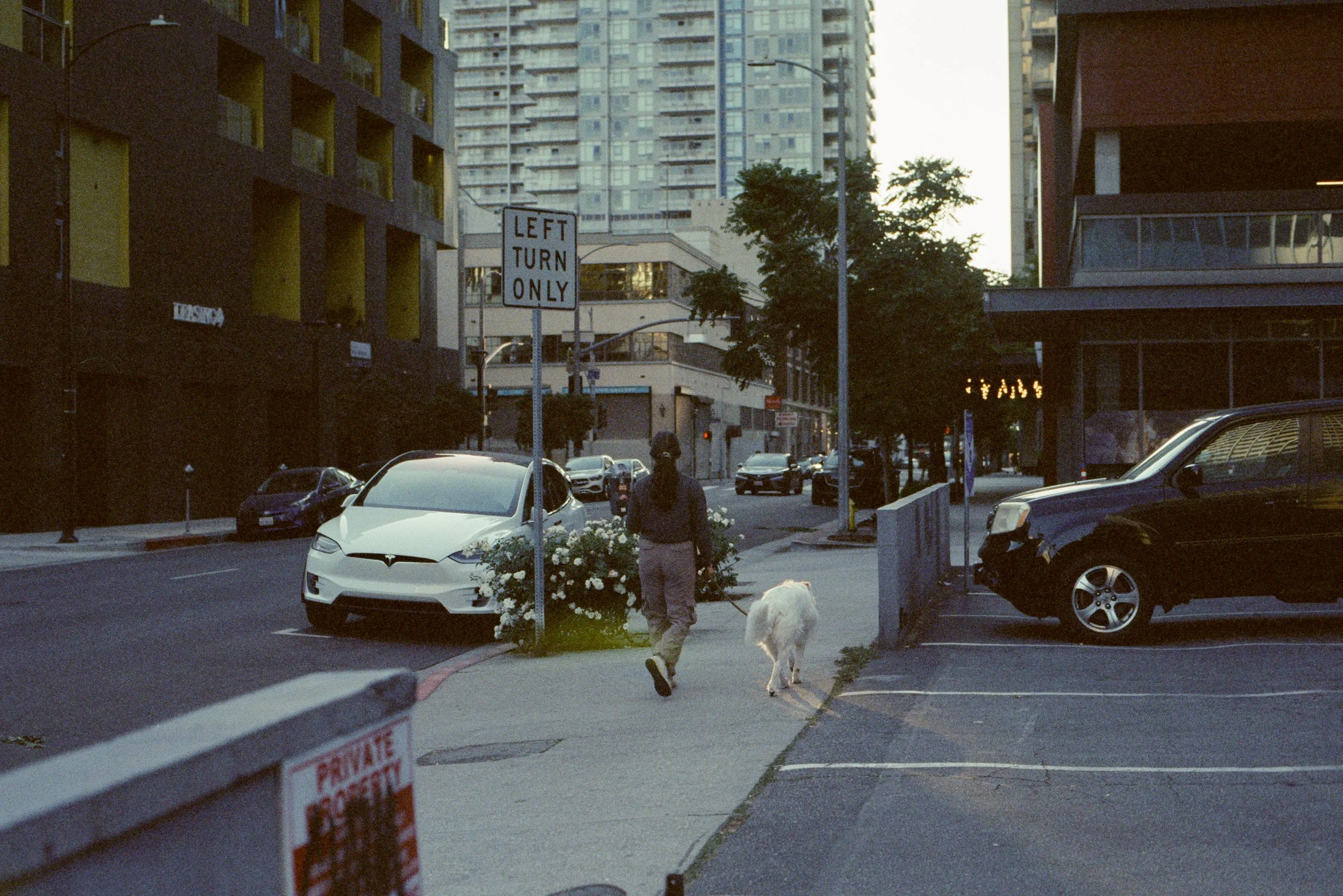 FE070_Kodak-v3-500T_0012.jpg