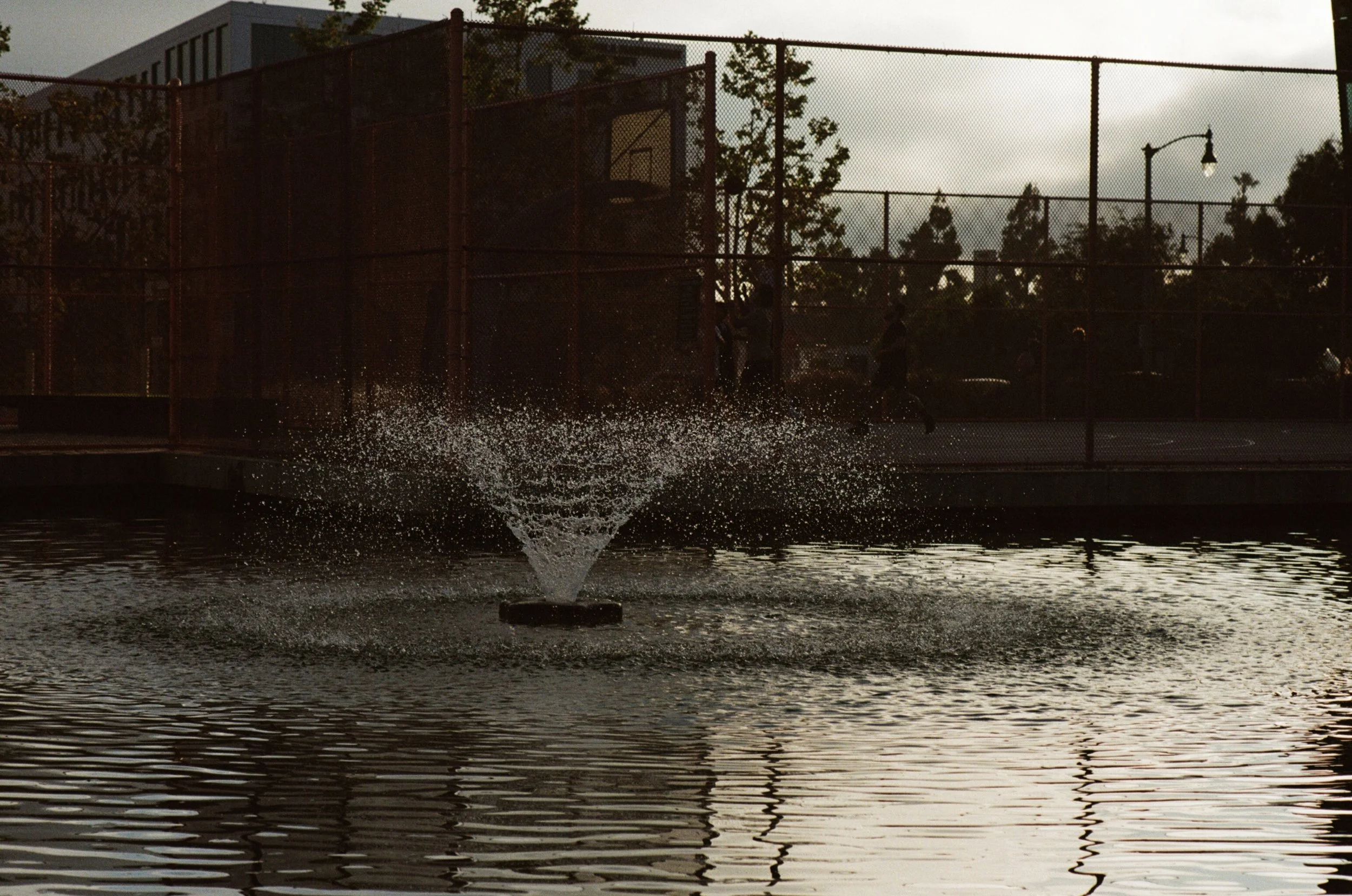 FE061_Fuji-cl400_0031_edit.jpg