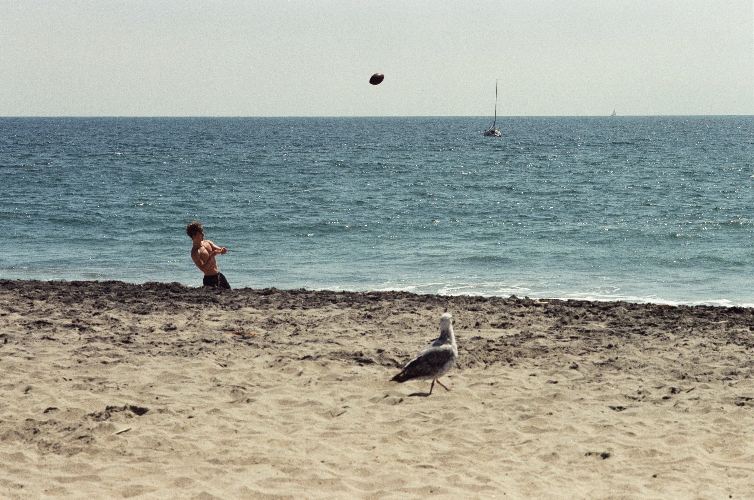 F049_17_edit.jpeg