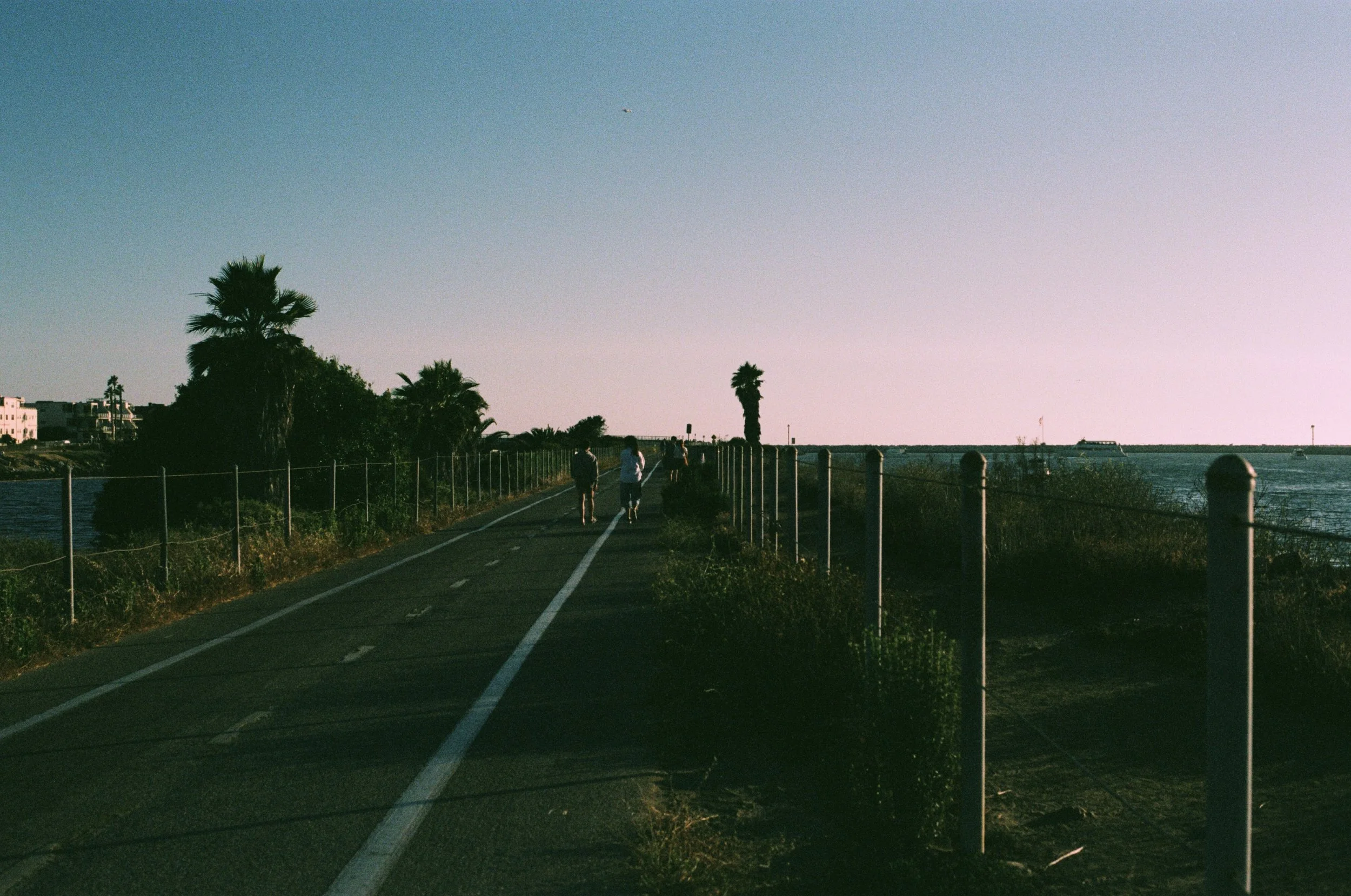 FE060_Kodak-p400_0032_edit_2_small.jpeg