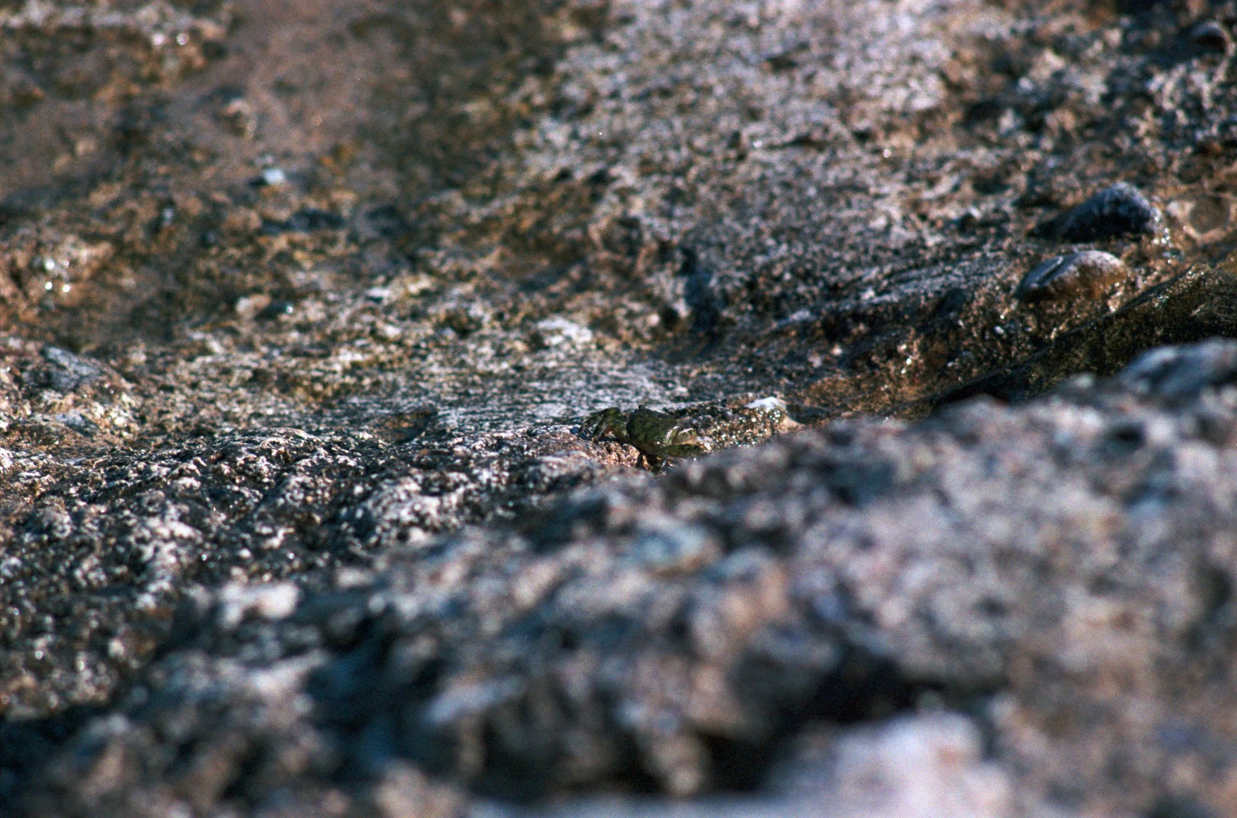 FE065_Fuji-c400_0020.jpeg