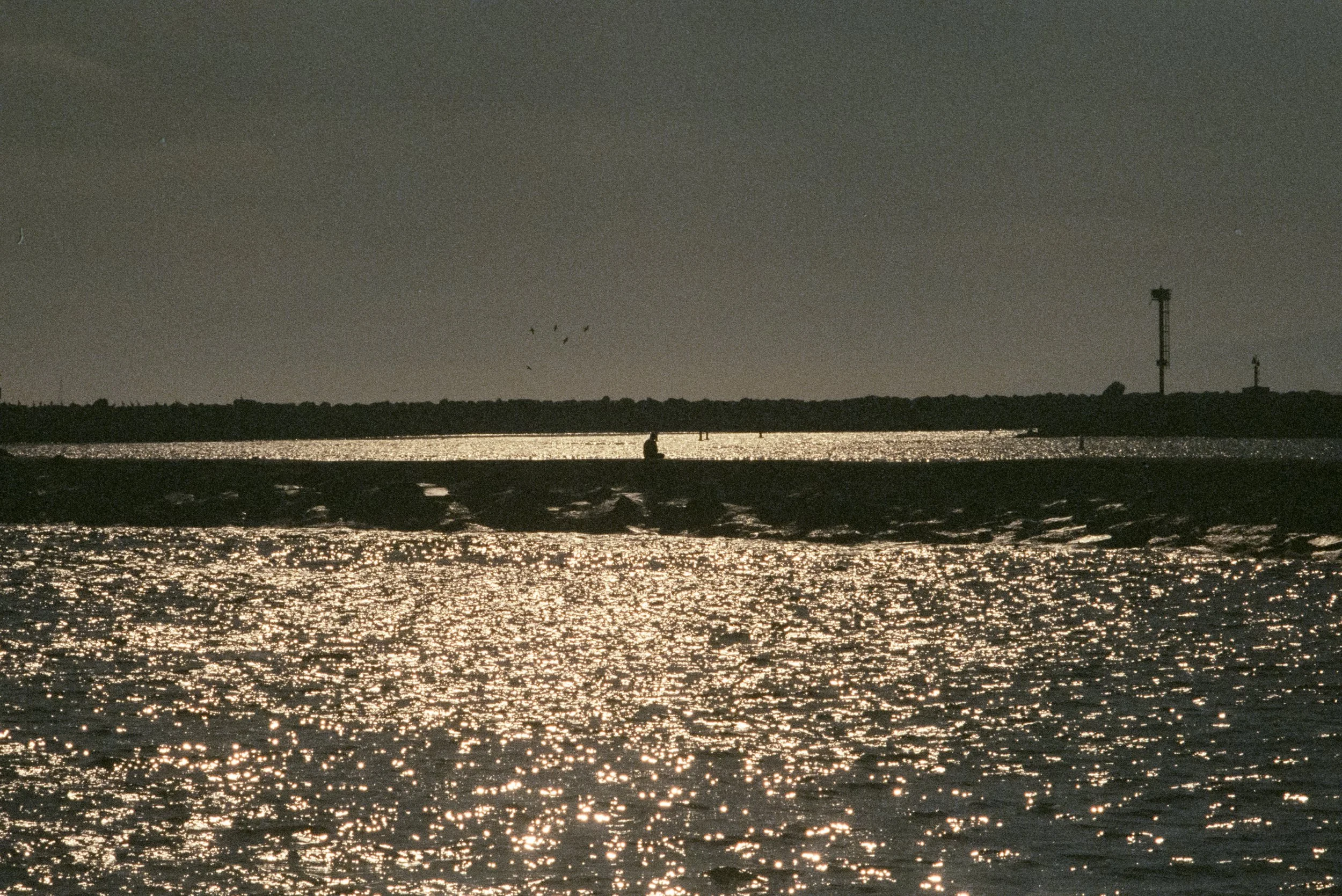 FE070_Kodak-v3-500T_0025.jpg