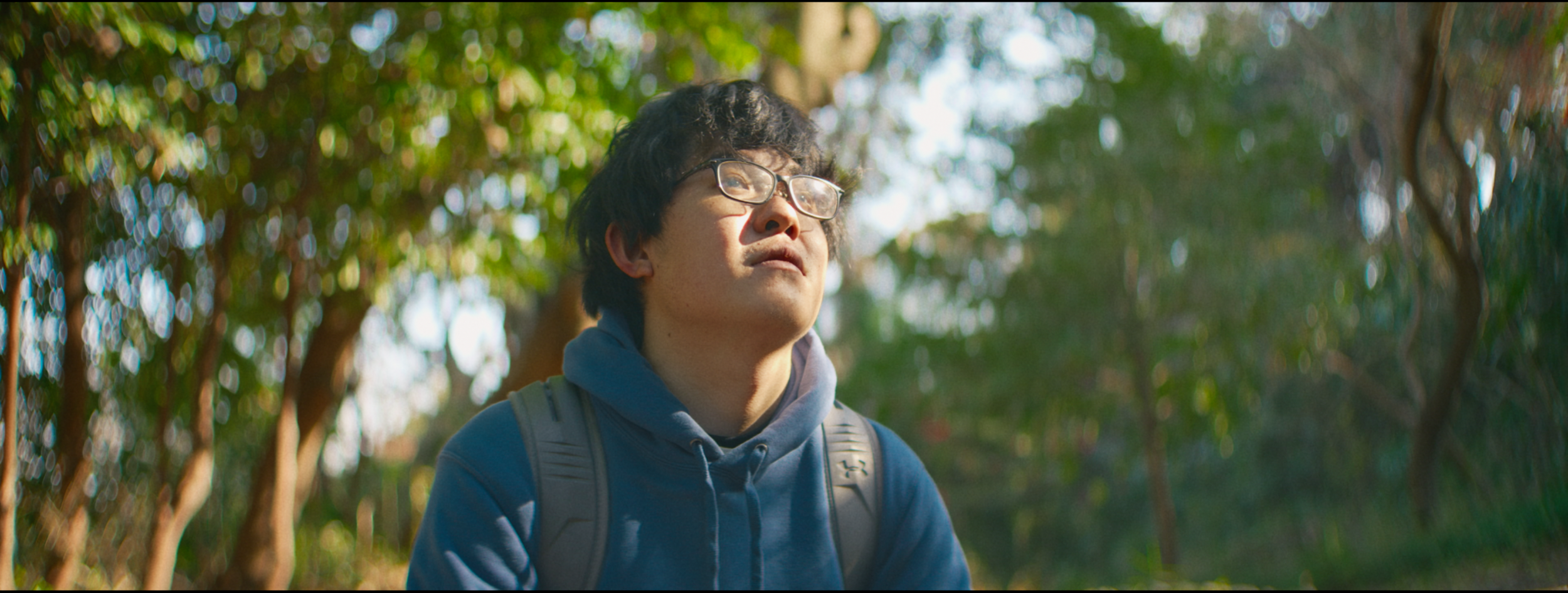 Digital (SONY FX2 + Blazar Remus Anamorphic 50mm)