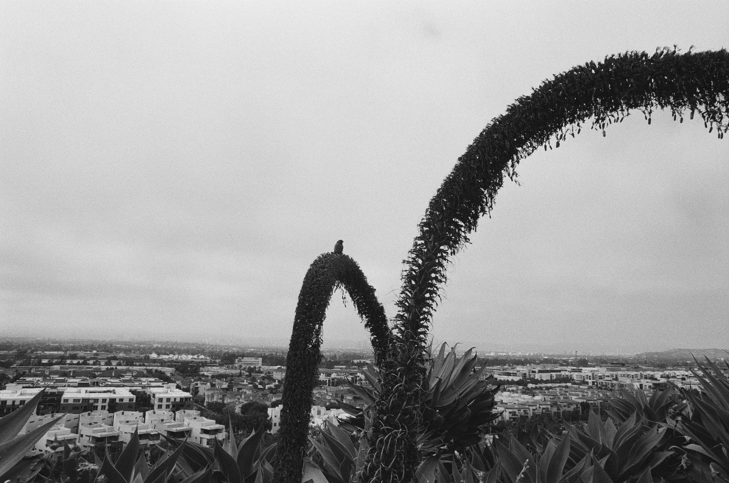 F048_25.jpeg