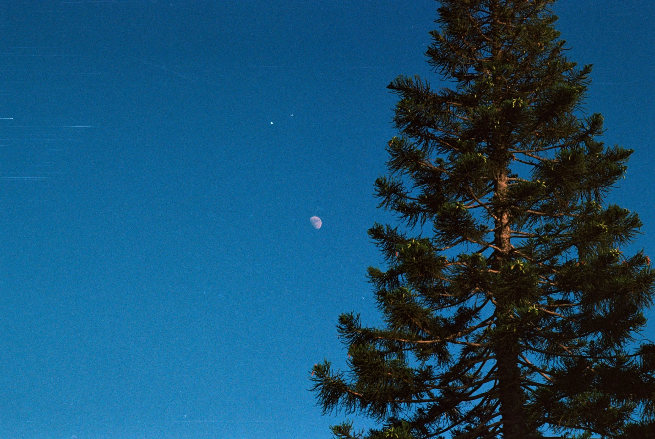 FE065_Fuji-c400_0036.jpeg