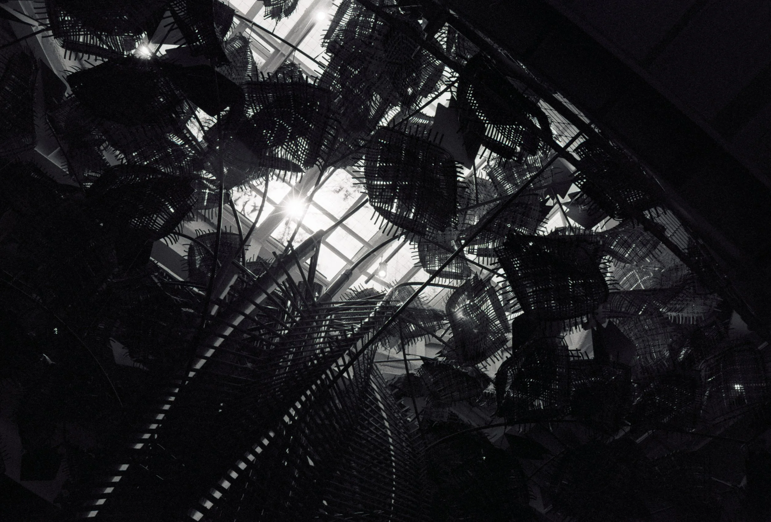FE080_Ilford-hp5_0029.jpeg