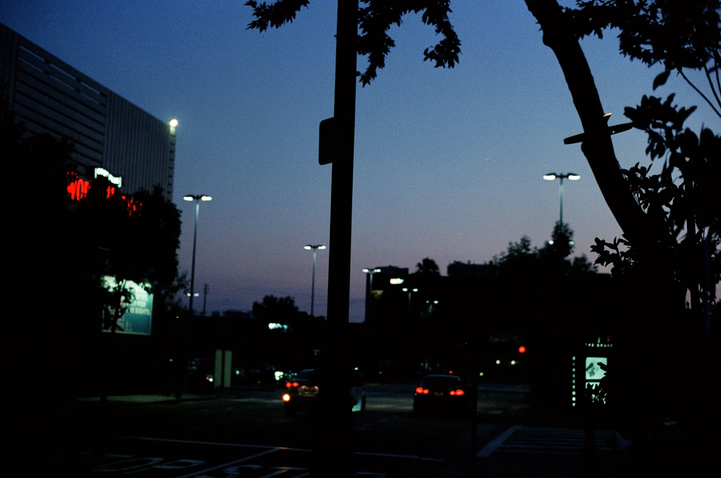 FE056_Kodak-v3-500T_0039_edit.jpeg