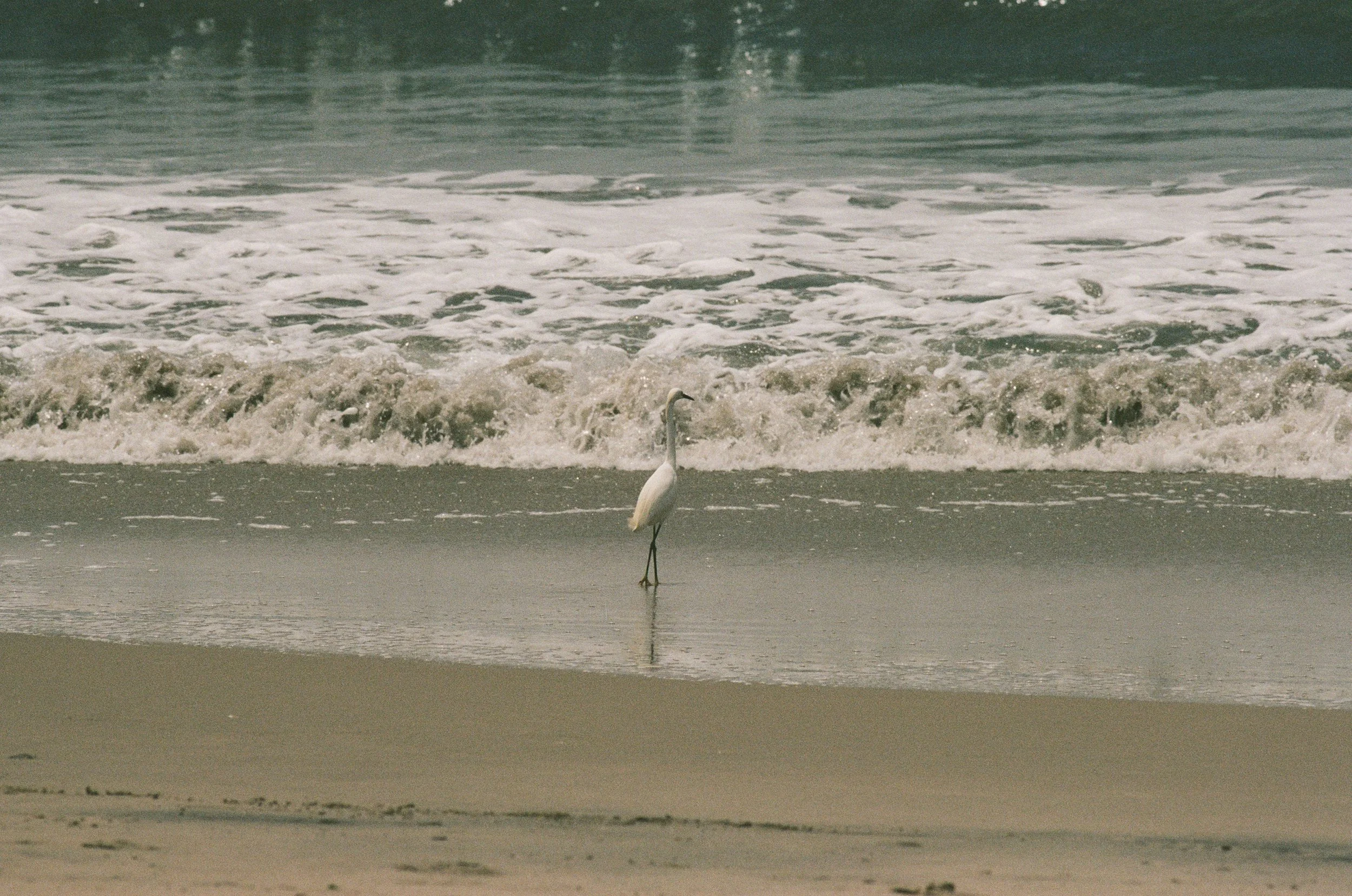 A043_18.jpg
