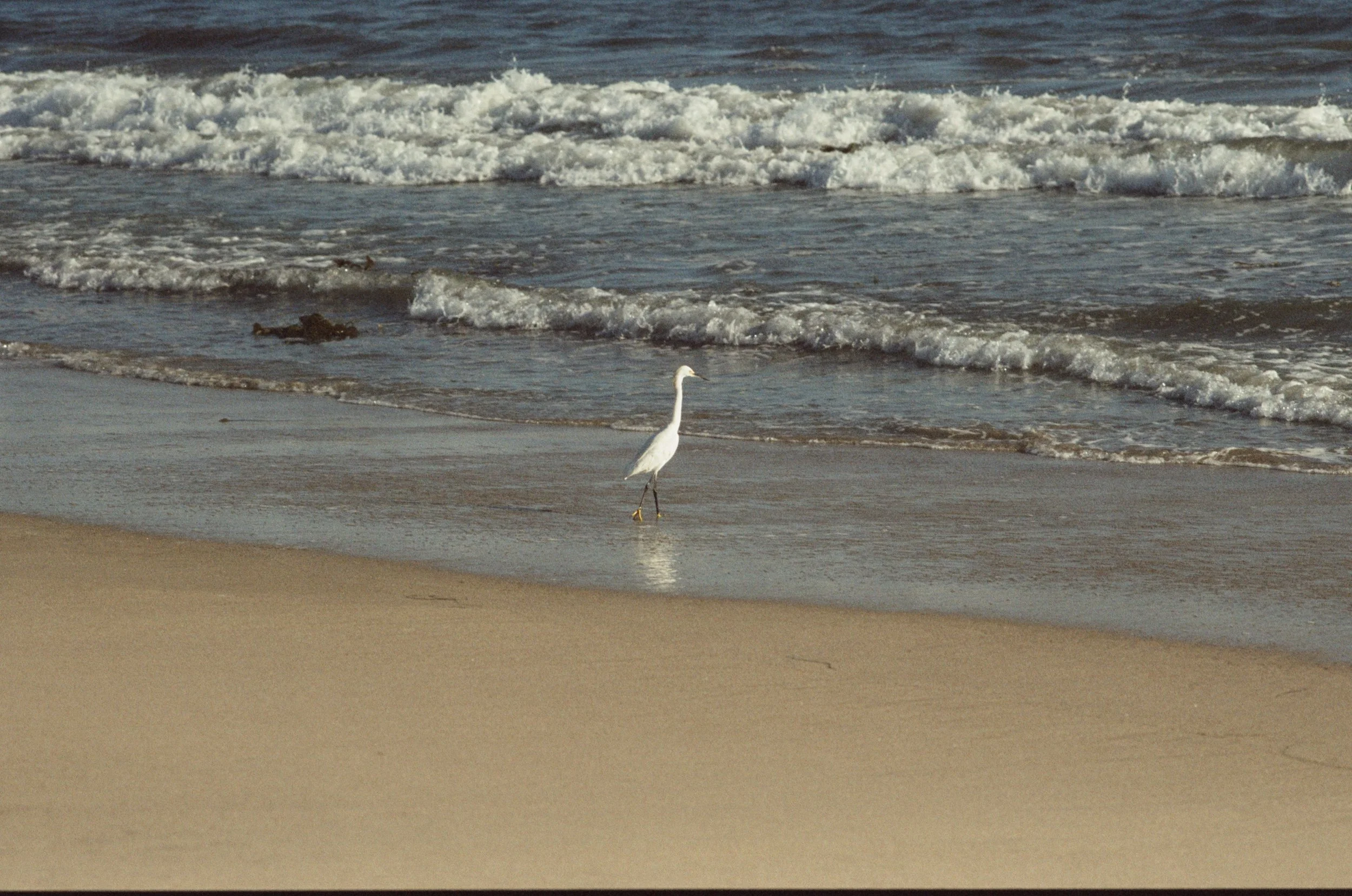FE059_Kodak-v3-250D_0027 _edit.jpeg