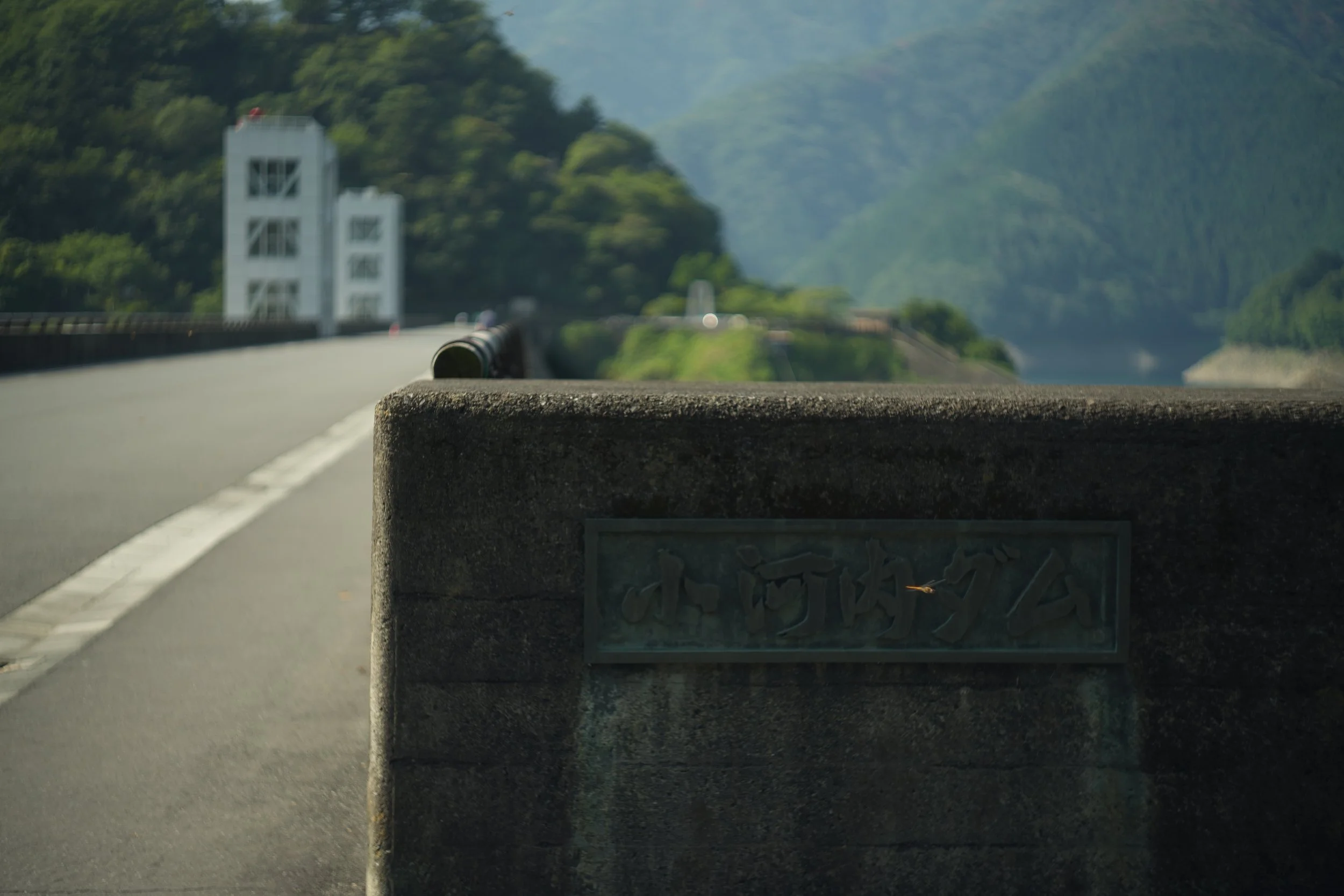 DSC00286_edit.jpeg