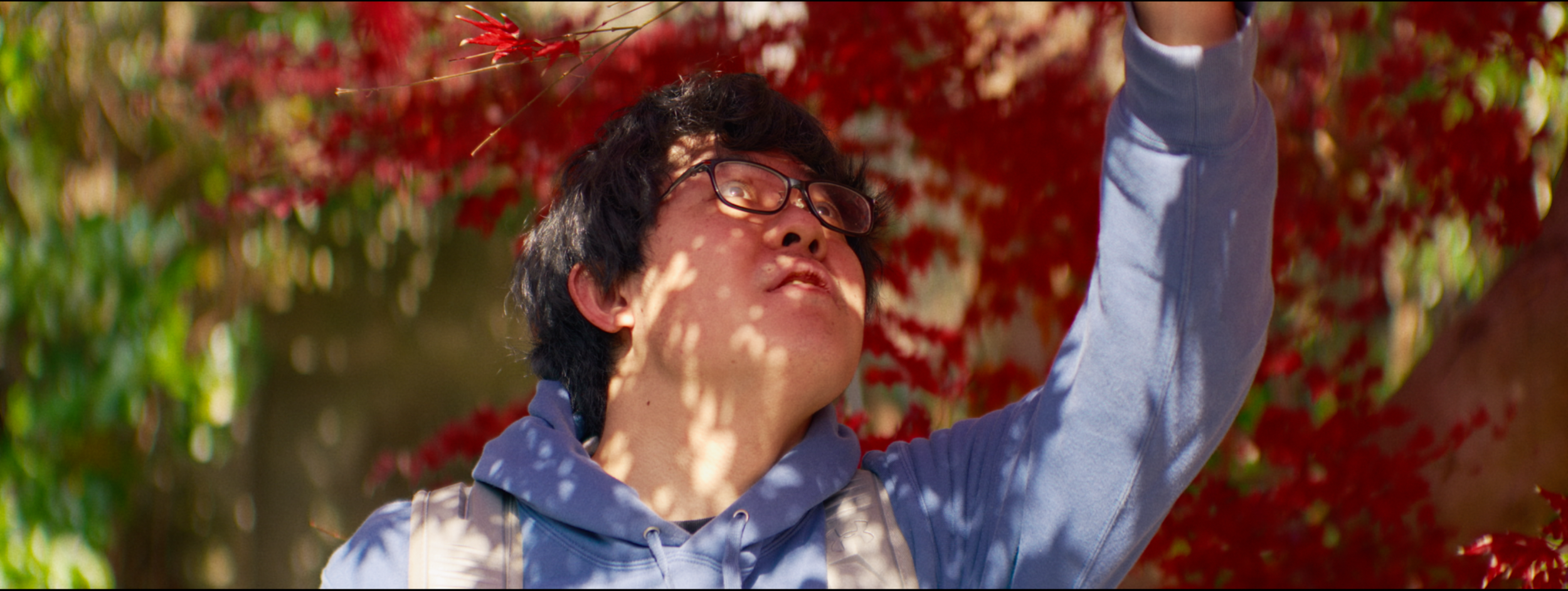 Digital (SONY FX2 + Blazar Remus Anamorphic 85mm)