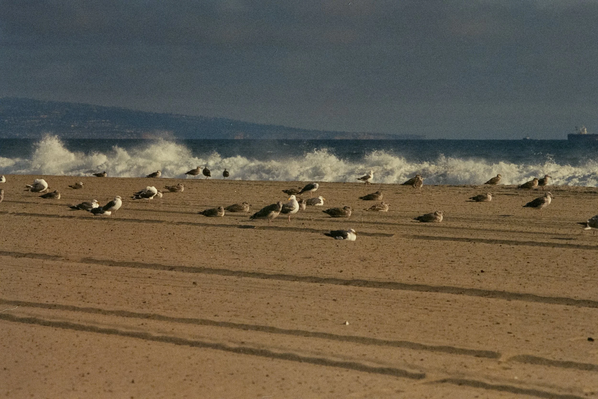 FE070_Kodak-v3-500T_0027.jpg